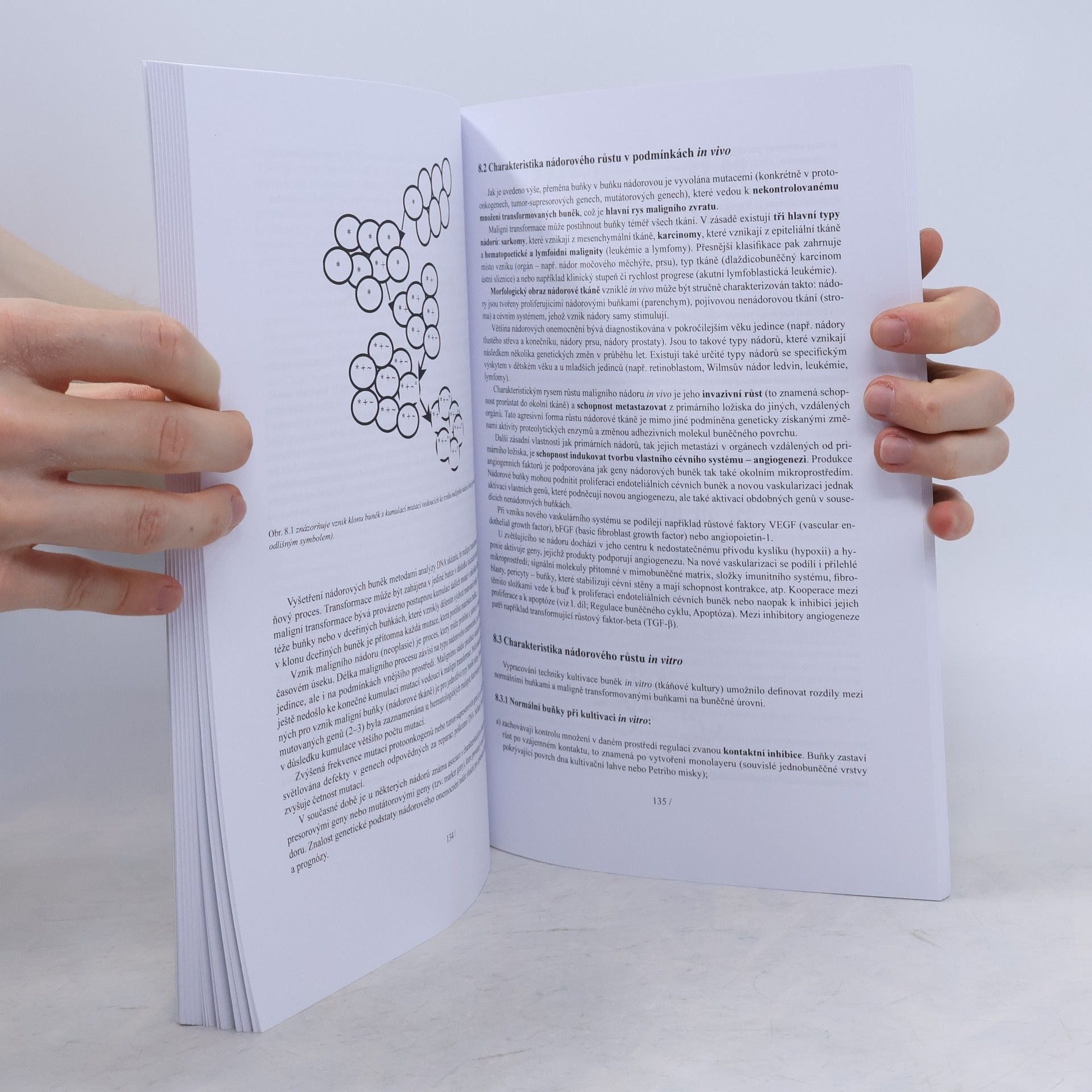 Autorenkollektiv Lékařská biologie a genetika (II. díl)