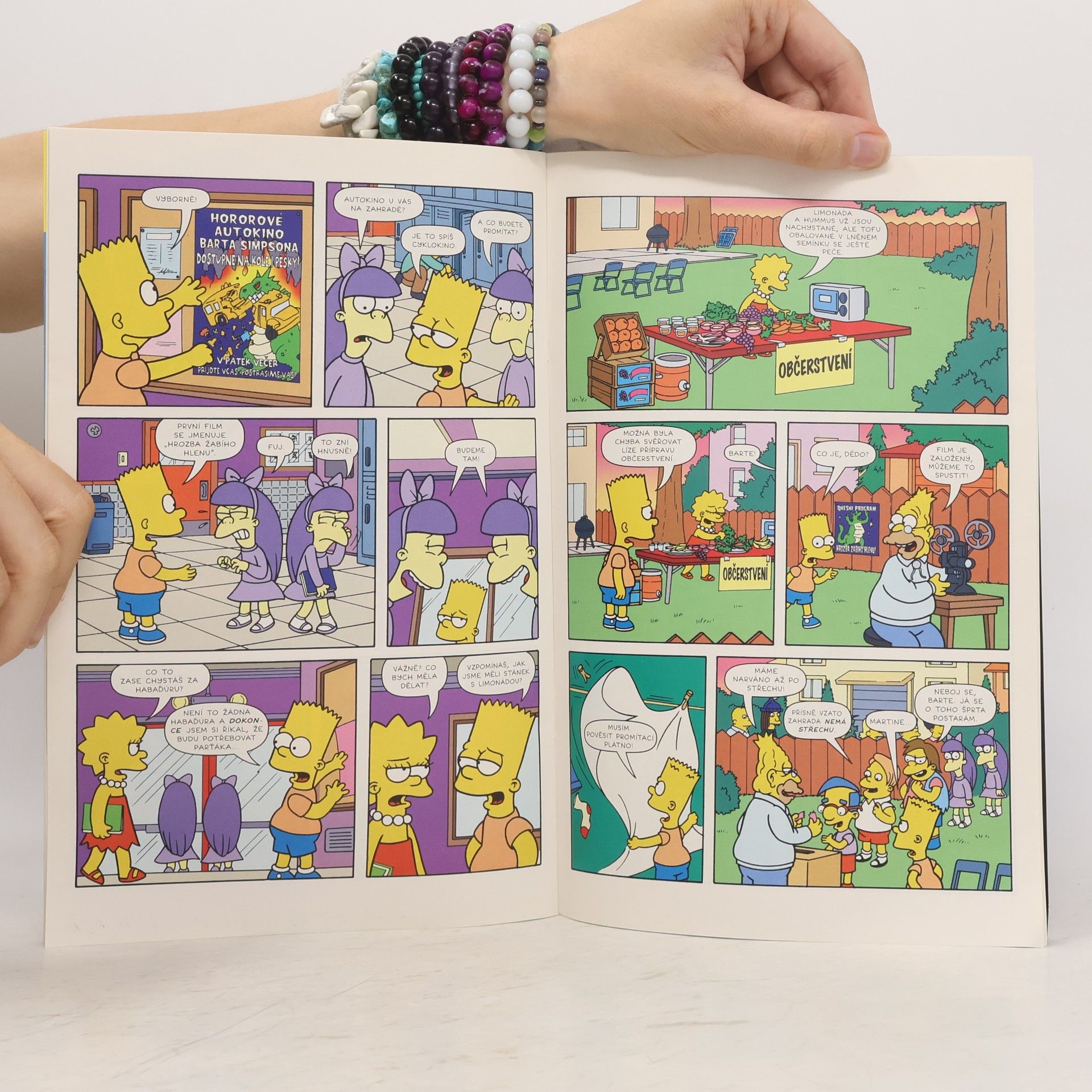 Matt Groening Bart Simpson 11/2017: Holé pravdy