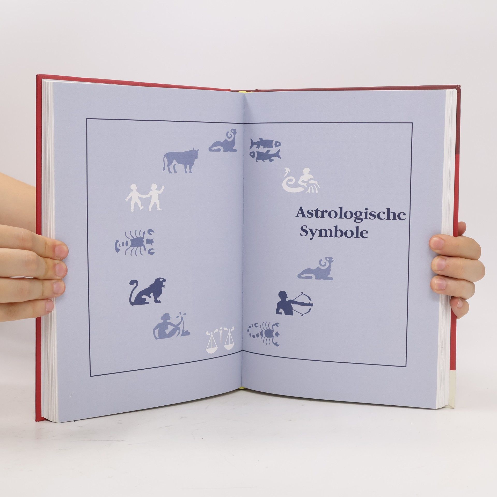 Marion Zerbst DuMonts Handbuch Zeichen und Symbole