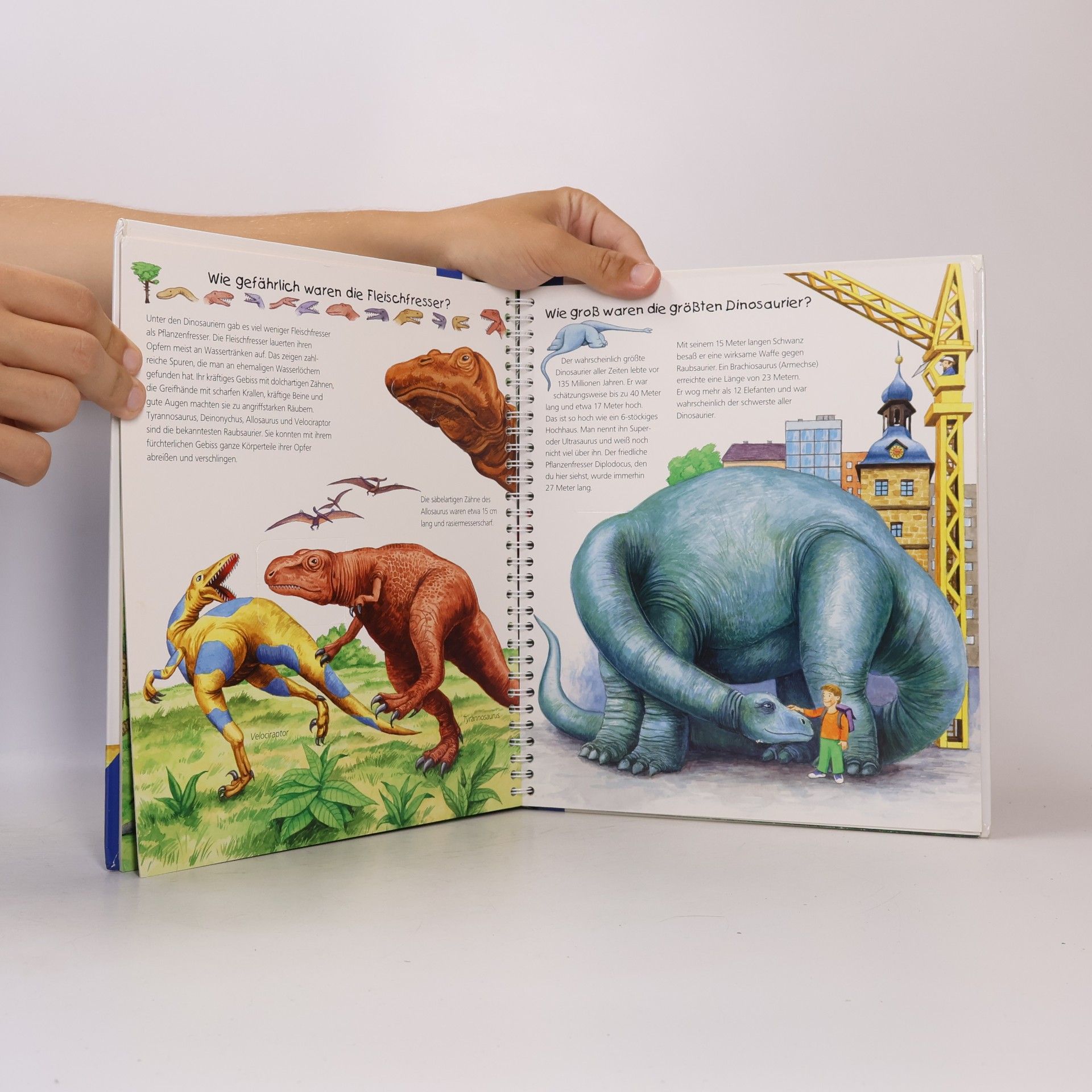Collectif d'auteurs Alles über Dinosaurier