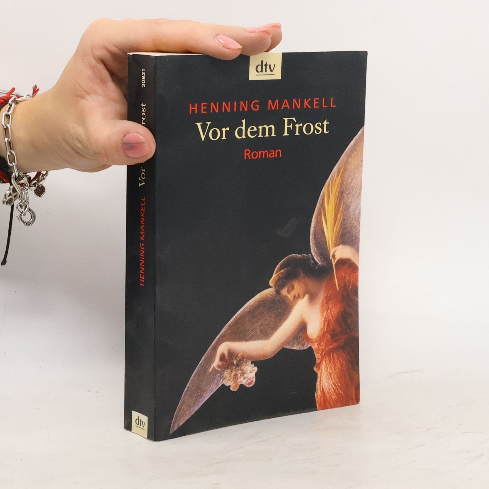 Henning Mankell Vor dem Frost