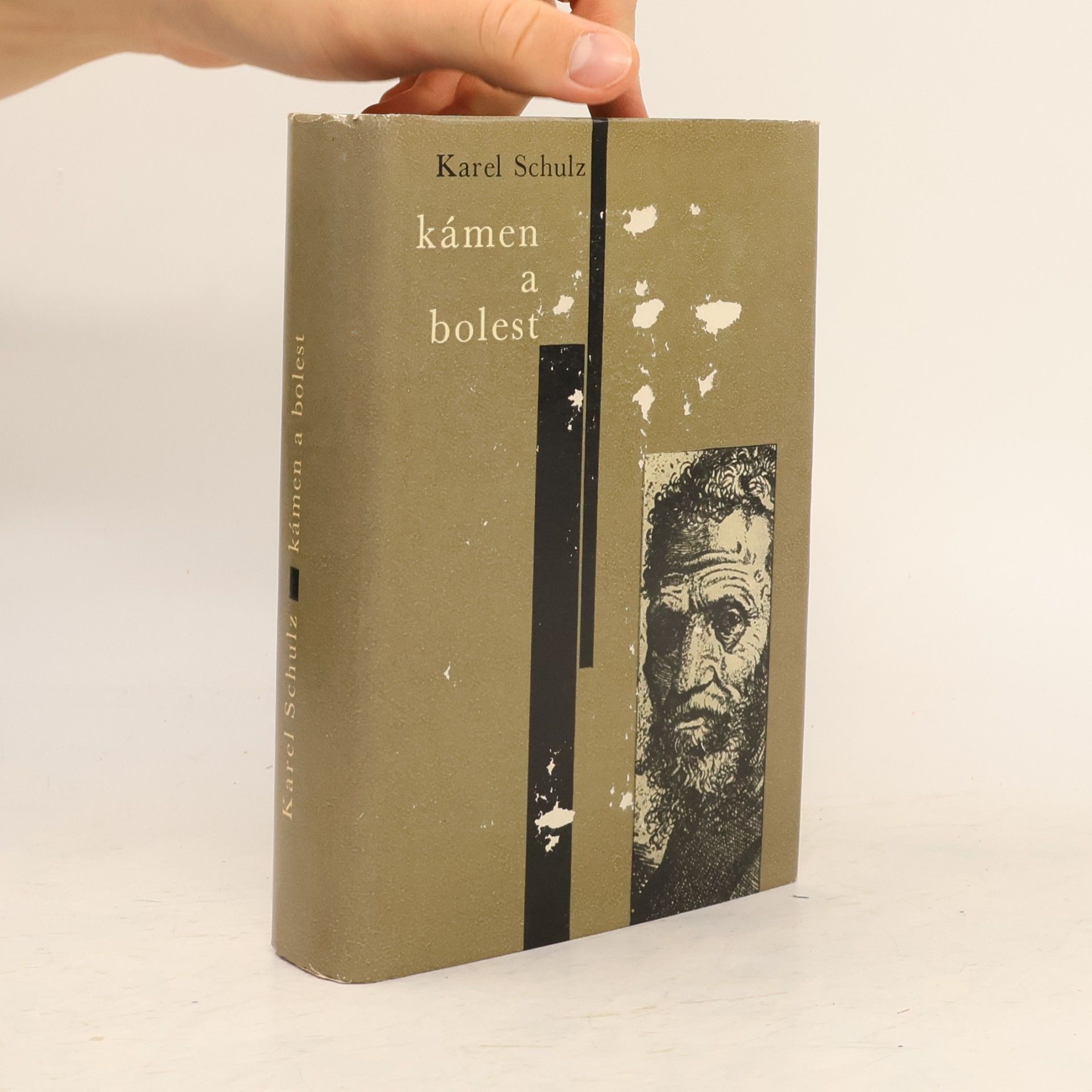Karel Schulz Kámen a bolest