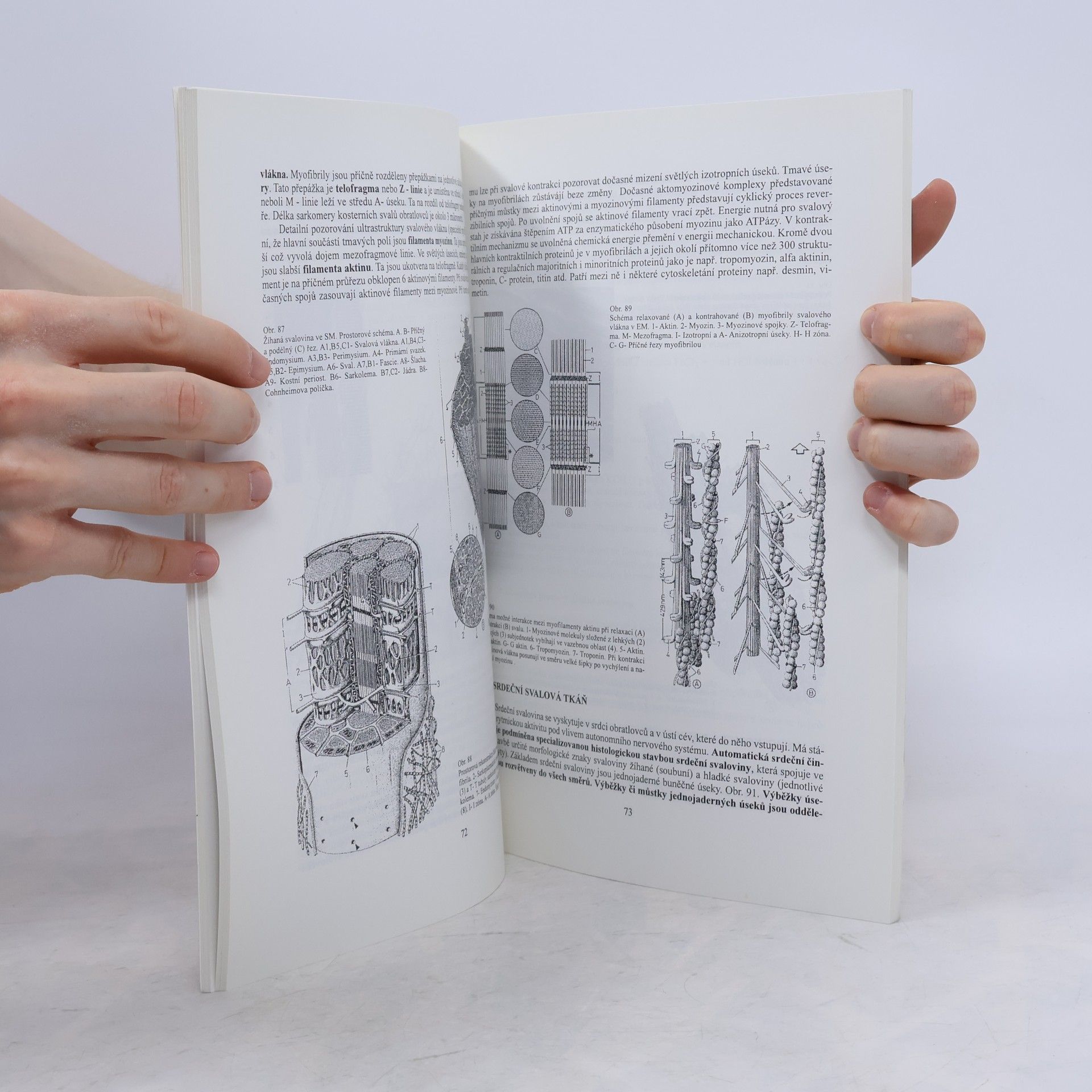 Jiří Paleček Biologie buňky II. Základy mikroskopické histologie