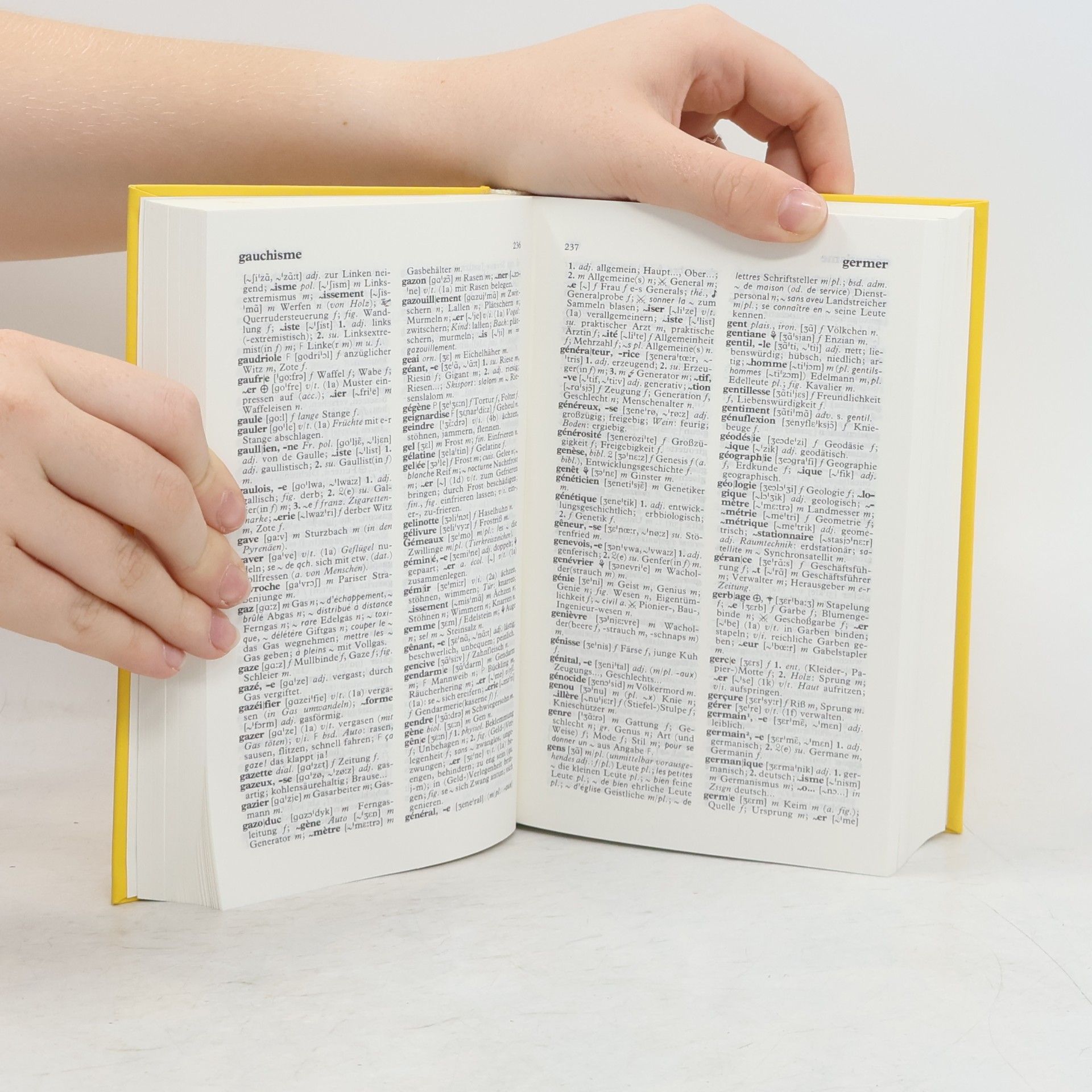 AA.VV. Langenscheidt Wörterbuch Französisch-Deutsch