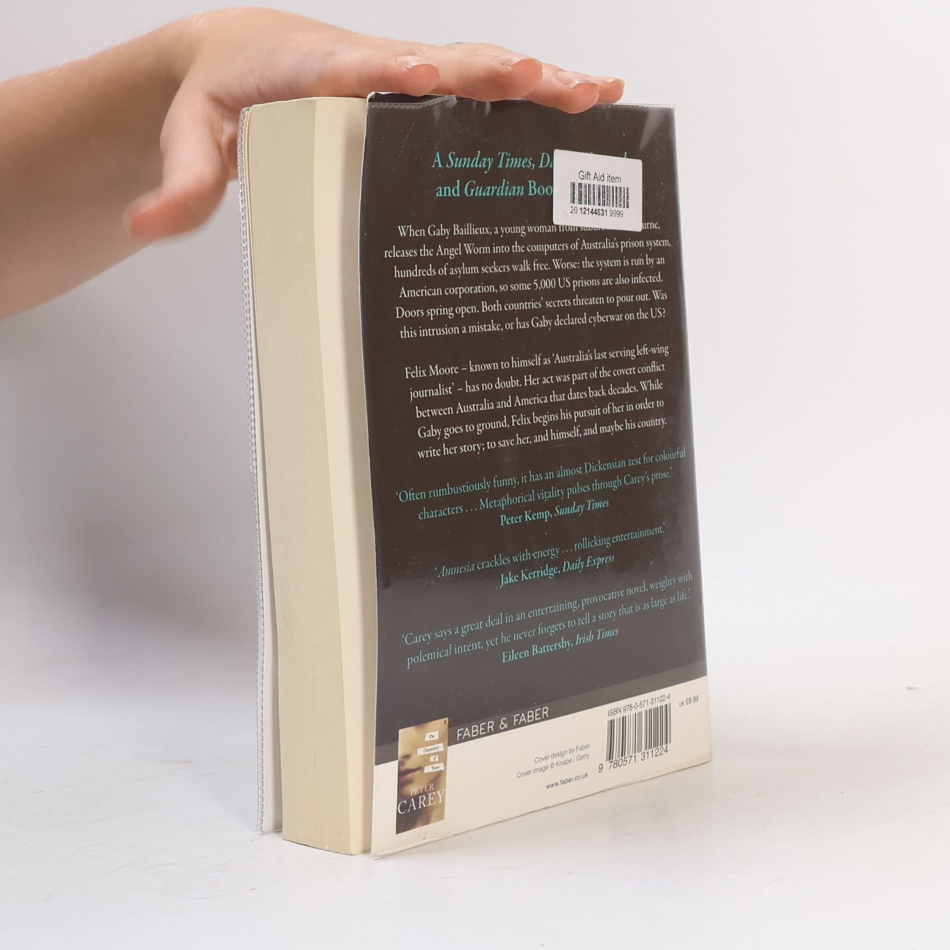 Peter Carey Amnesia