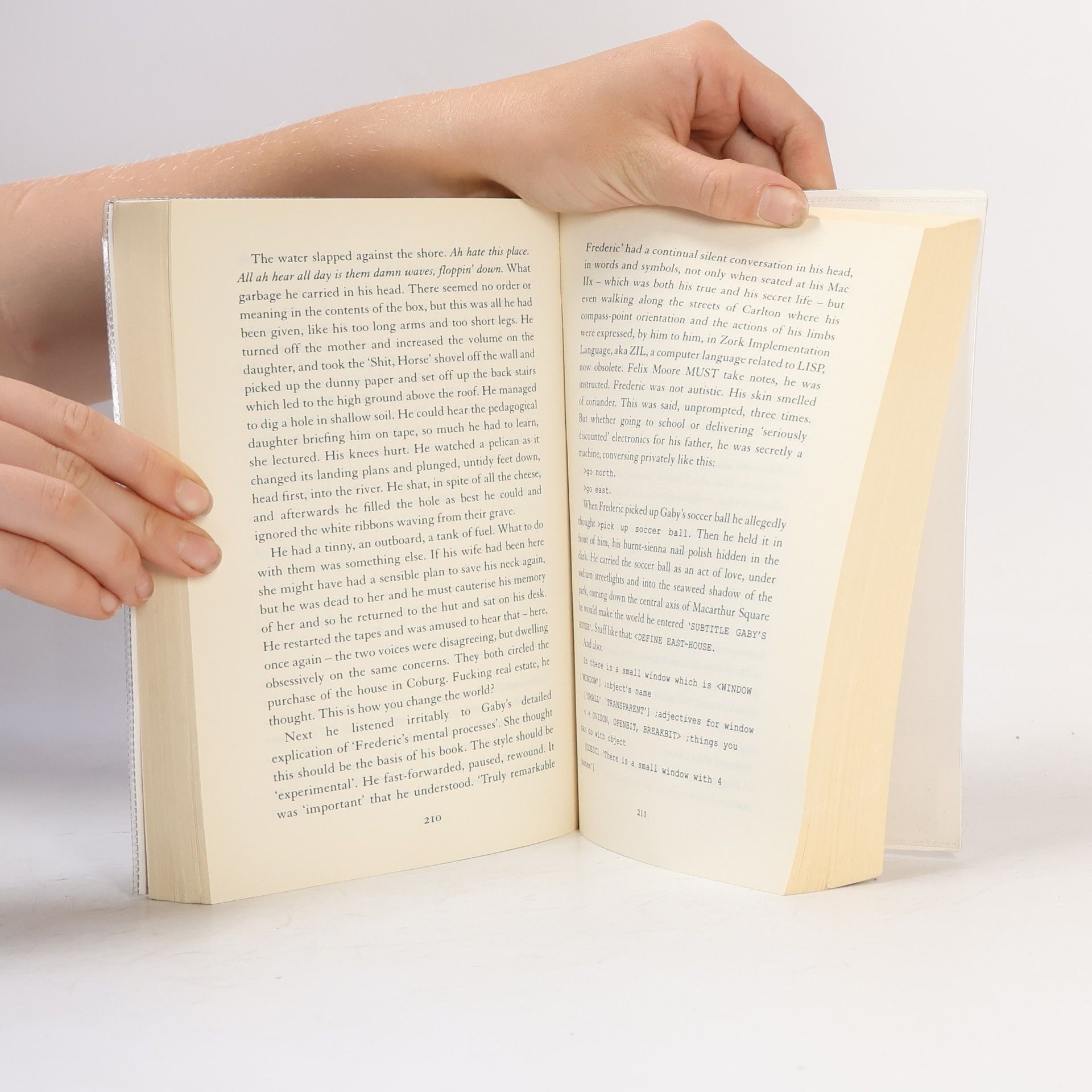 Peter Carey Amnesia
