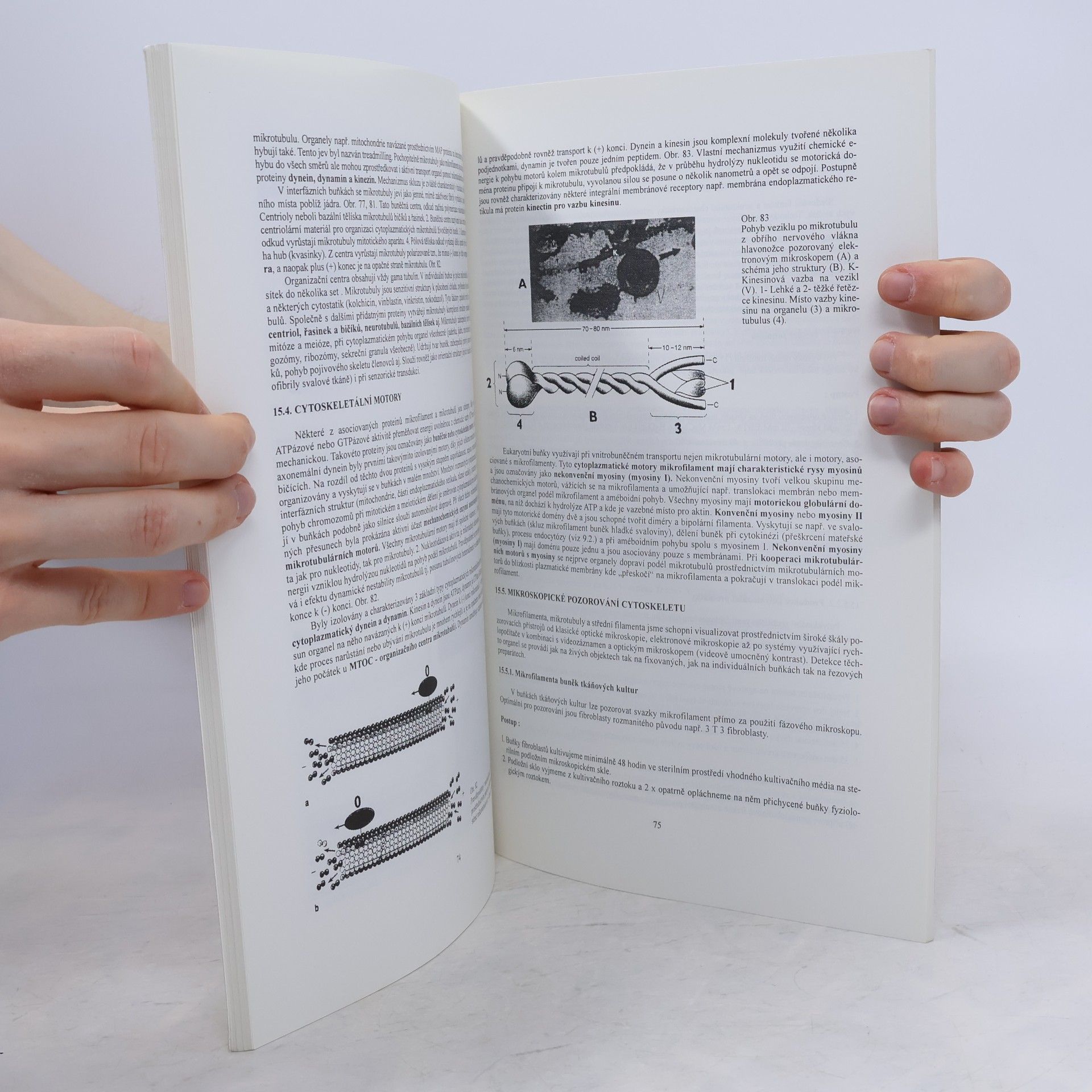 Jiří Paleček Biologie buňky (I. a II. svazek)