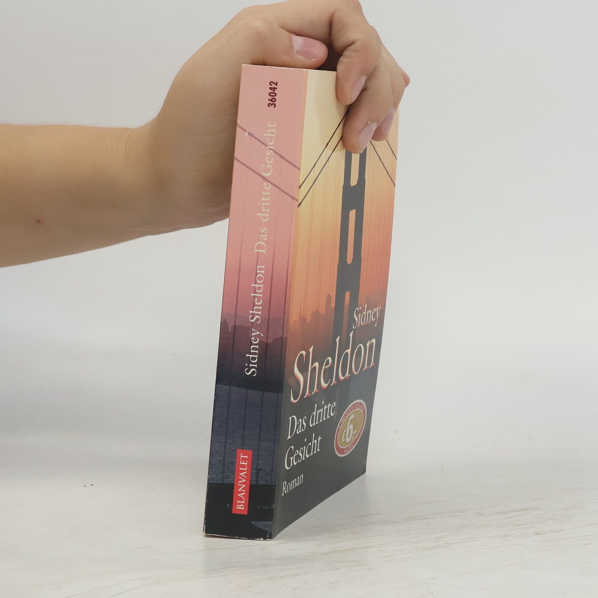 Sidney Sheldon Das dritte Gesicht