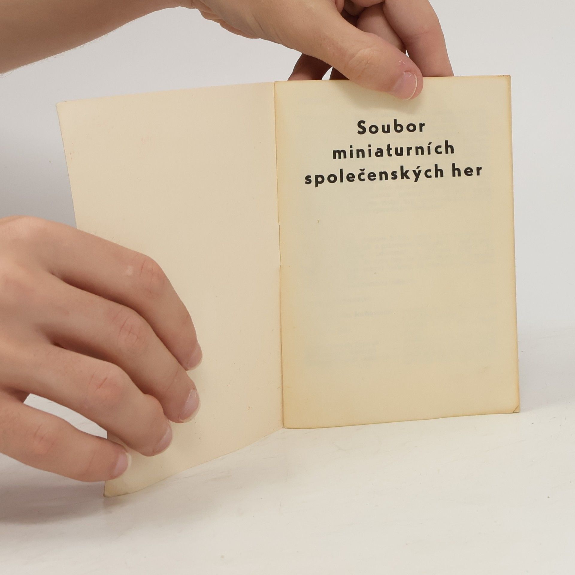 kolektiv Soubor miniaturních společenských her
