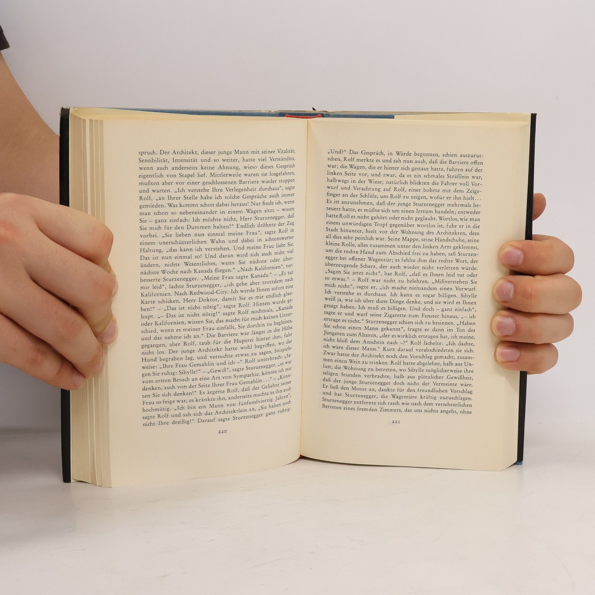 Max Frisch Stiller