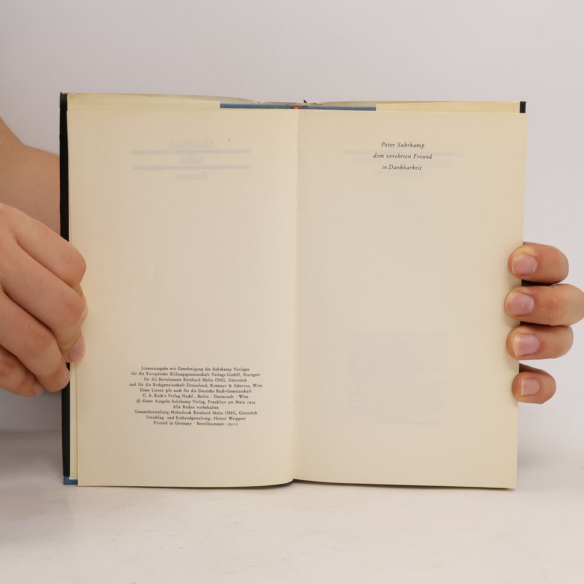 Max Frisch Stiller