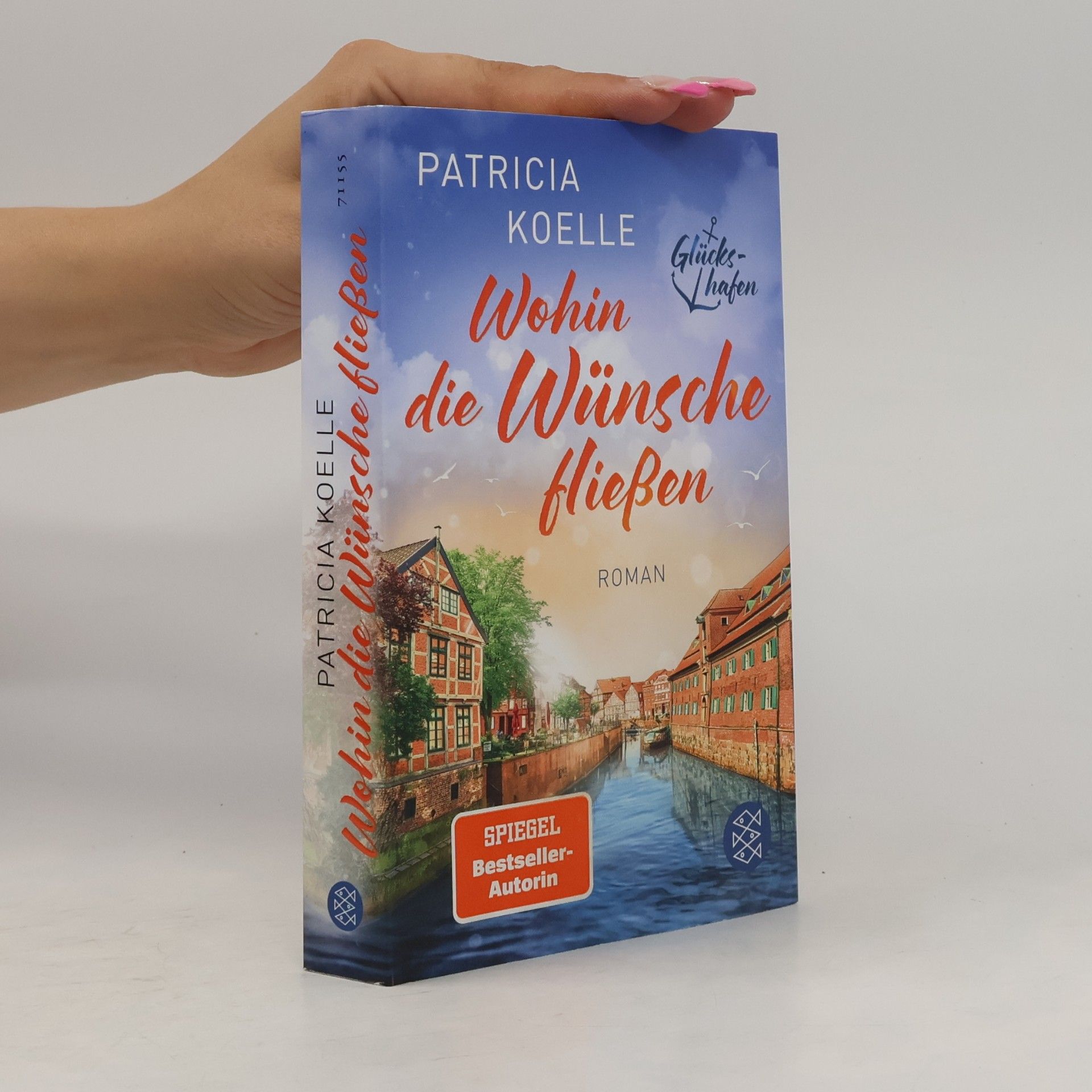 Patricia Koelle Wohin die Wünsche fließen