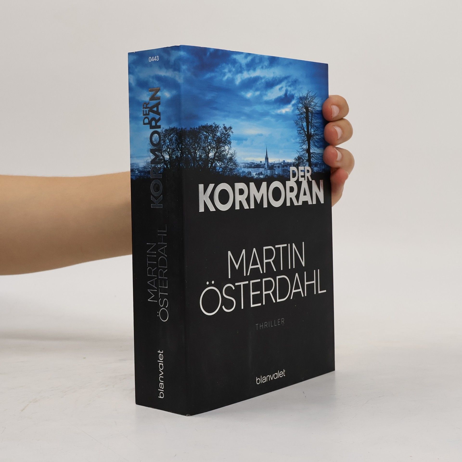 Martin Österdahl Der Kormoran