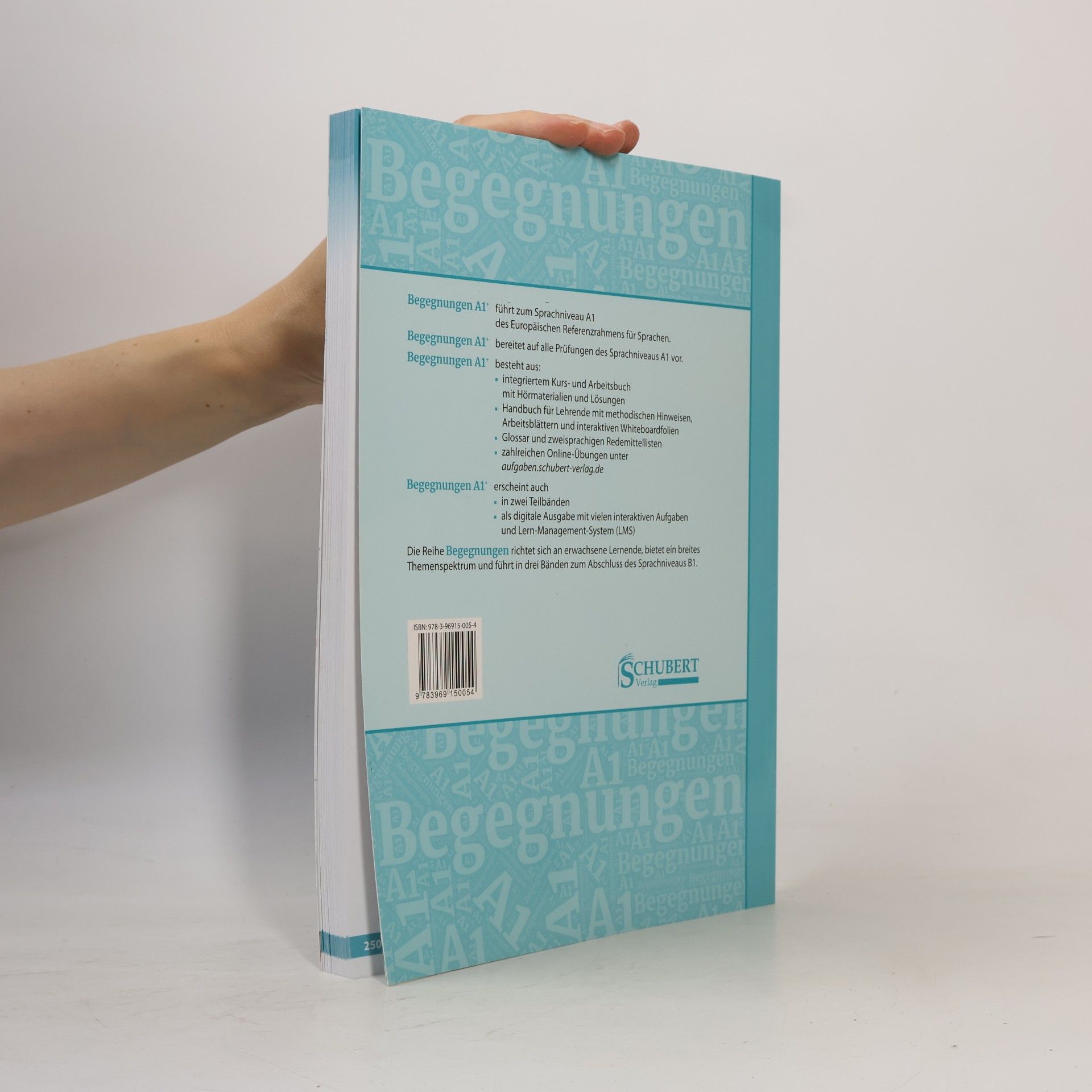 Anne Buscha Begegnungen Deutsch als Fremdsprache A1+: Integriertes Kurs- und Arbeitsbuch