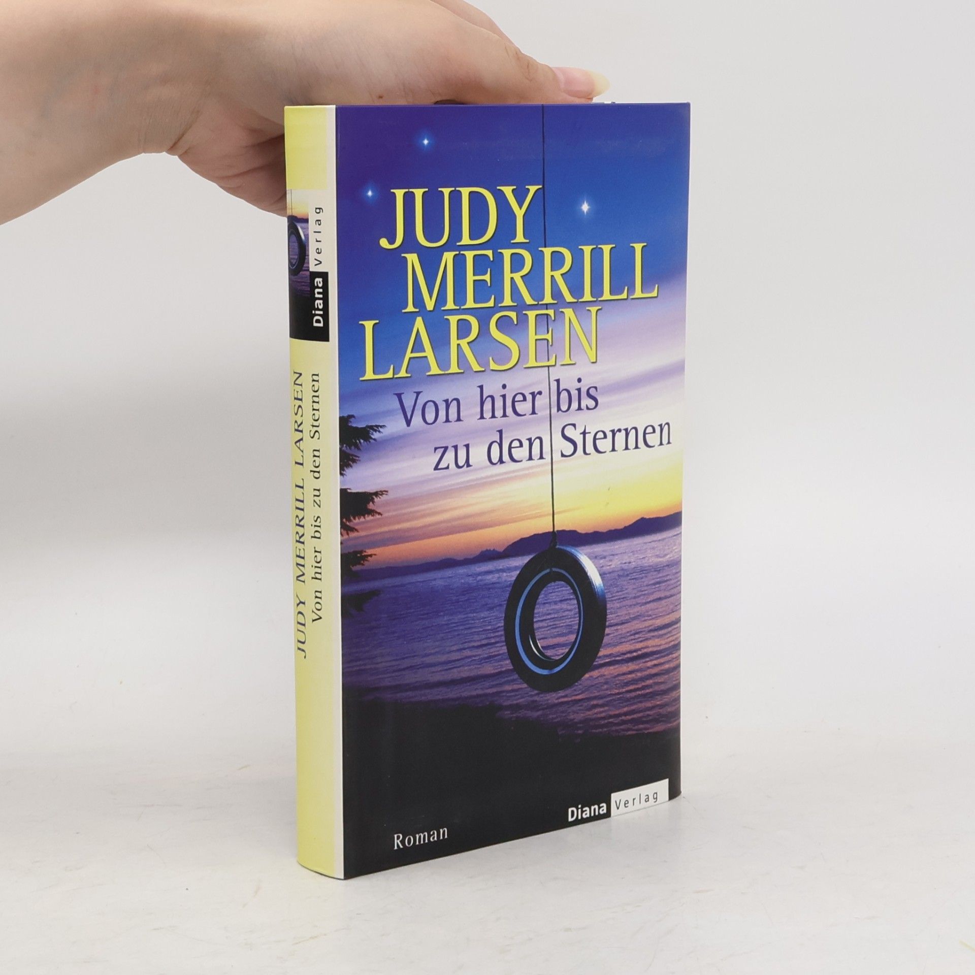 Judy Merrill Larsen Von hier bis zu den Sternen