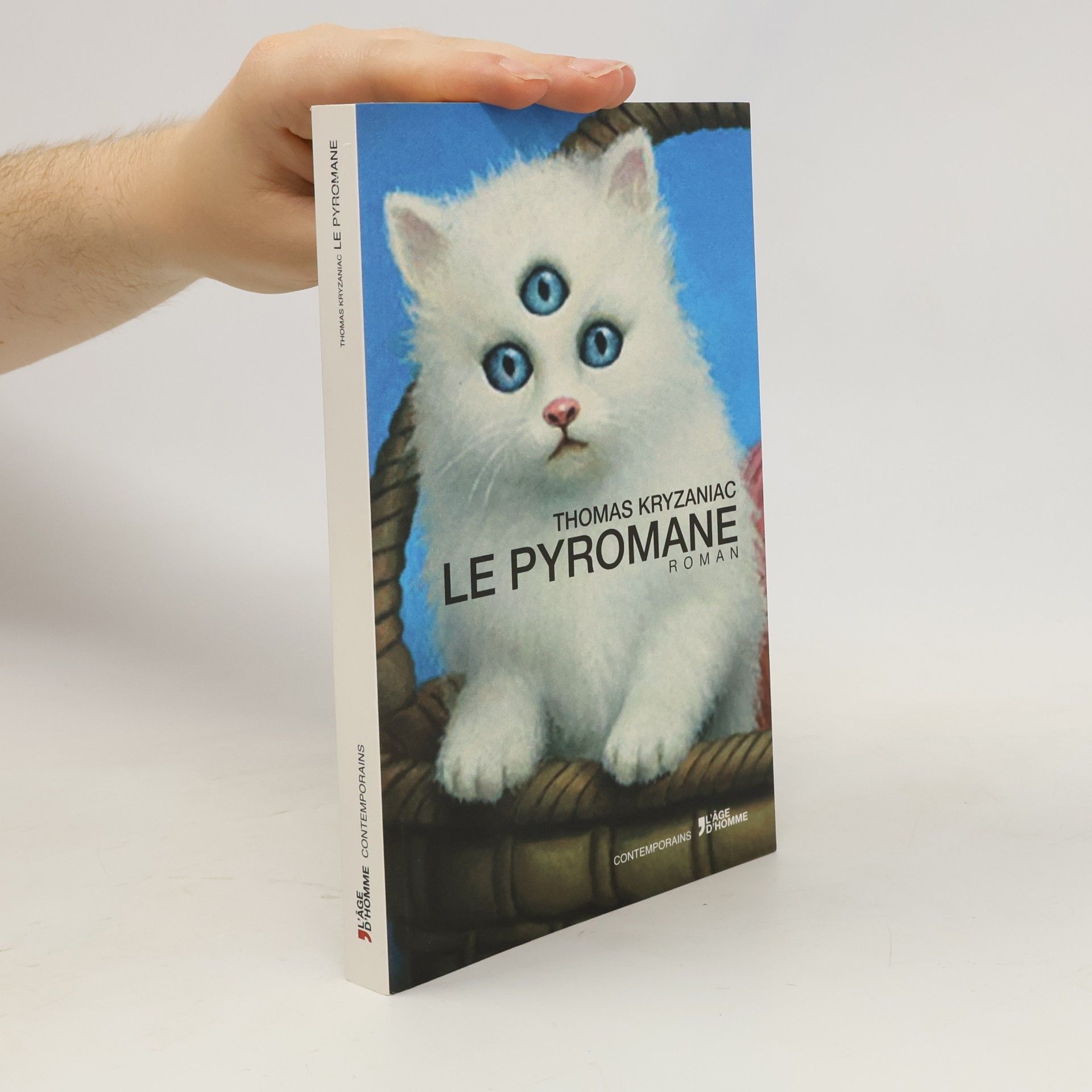 Thomas Kryzaniac Le pyromane - roman