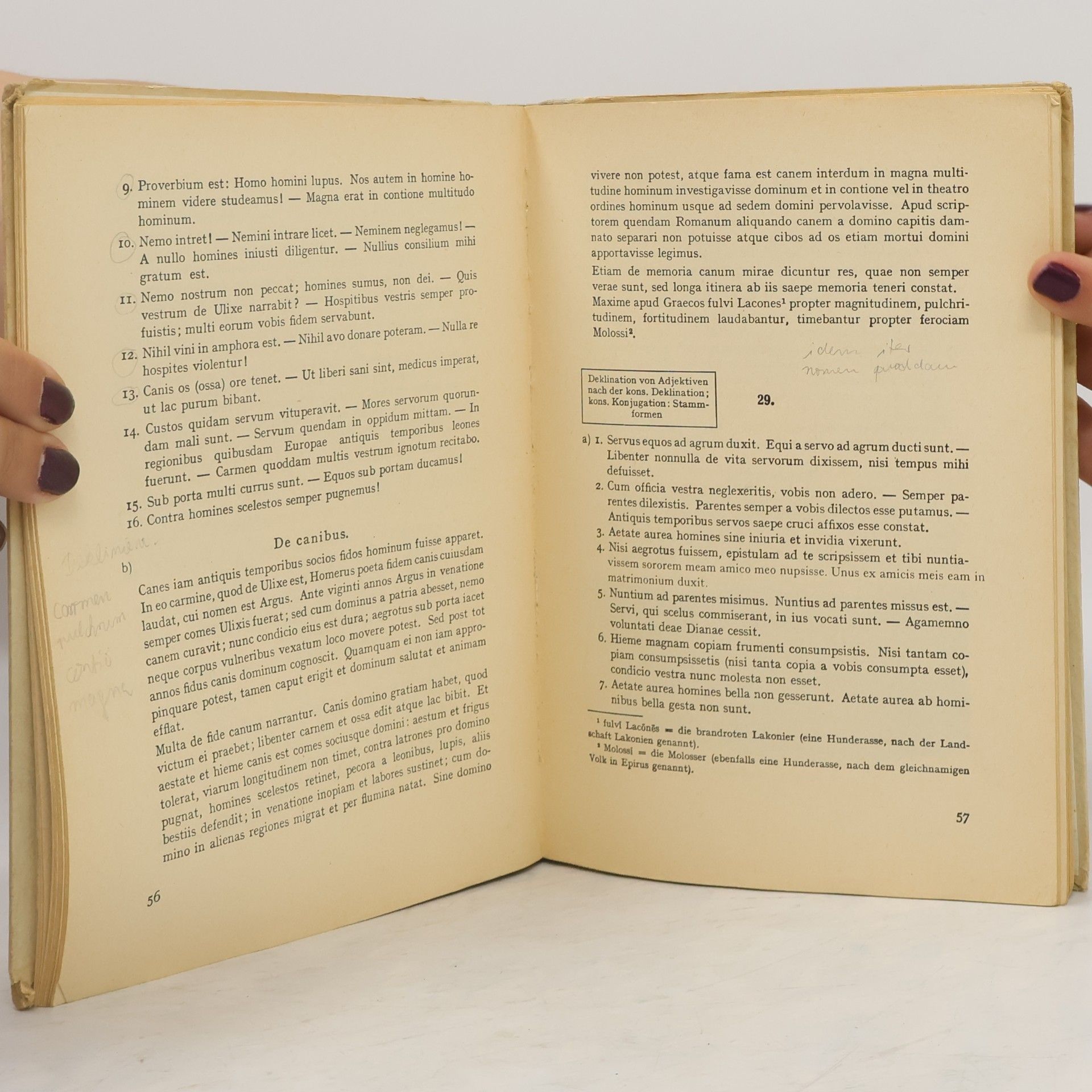 Autorenkollektiv Lateinisches Übungsbuch