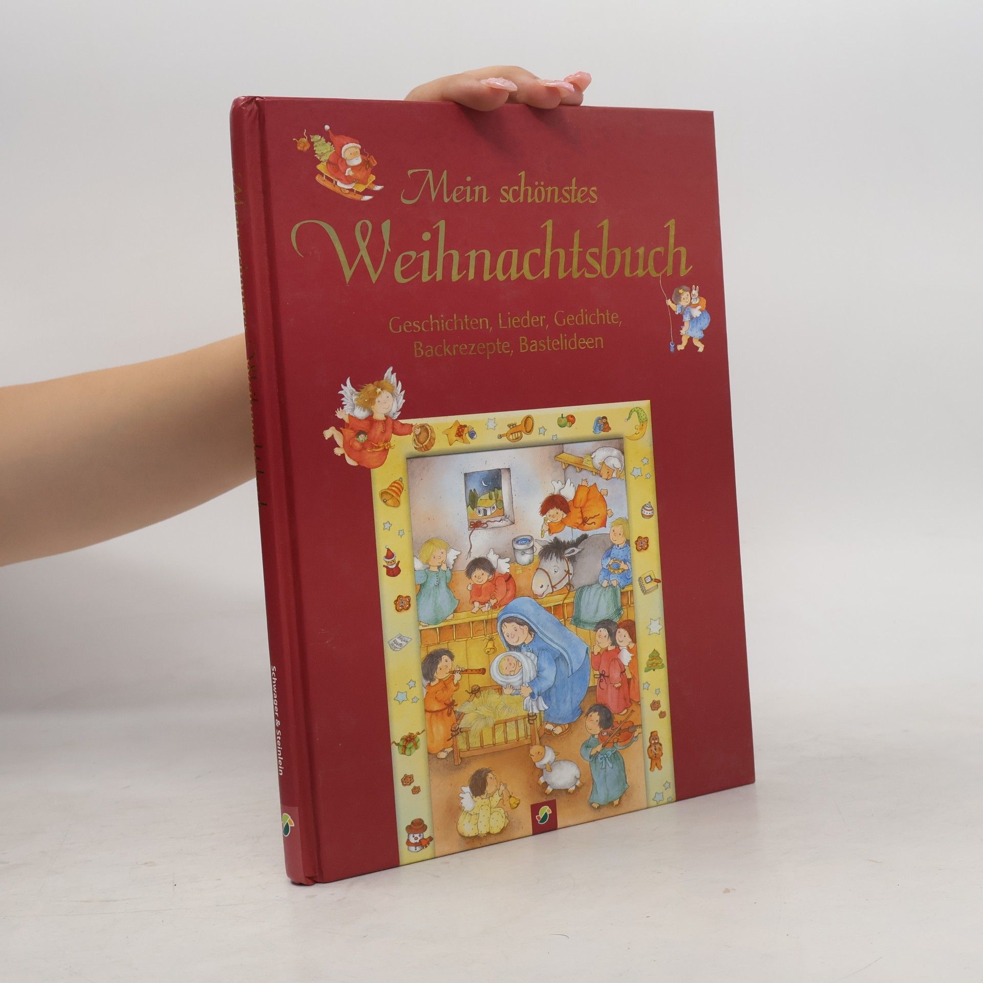 Mein schönstes Weihnachtsbuch