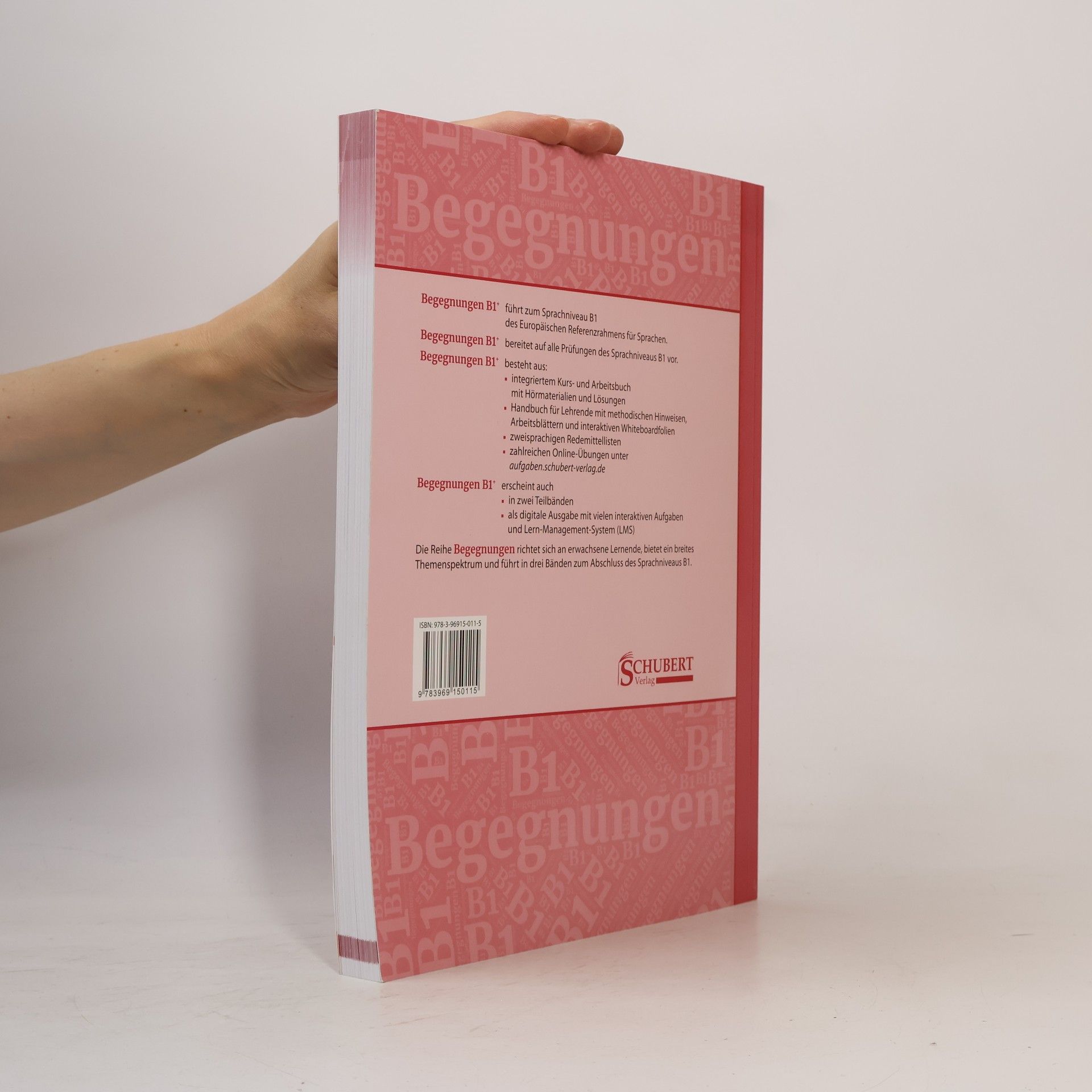 Anne Buscha Begegnungen Deutsch als Fremdsprache B1+: Integriertes Kurs- und Arbeitsbuch