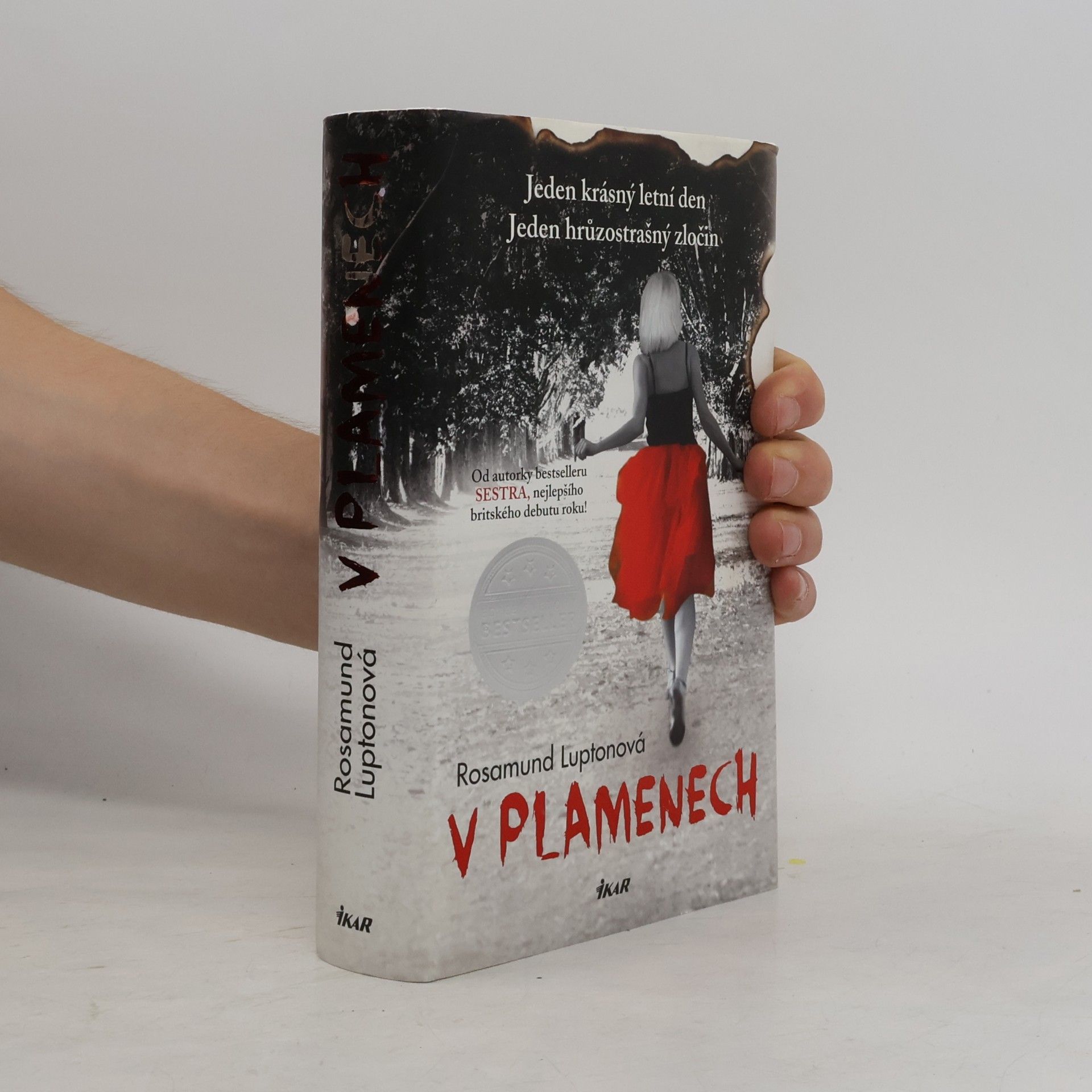Rosamund Lupton V plamenech