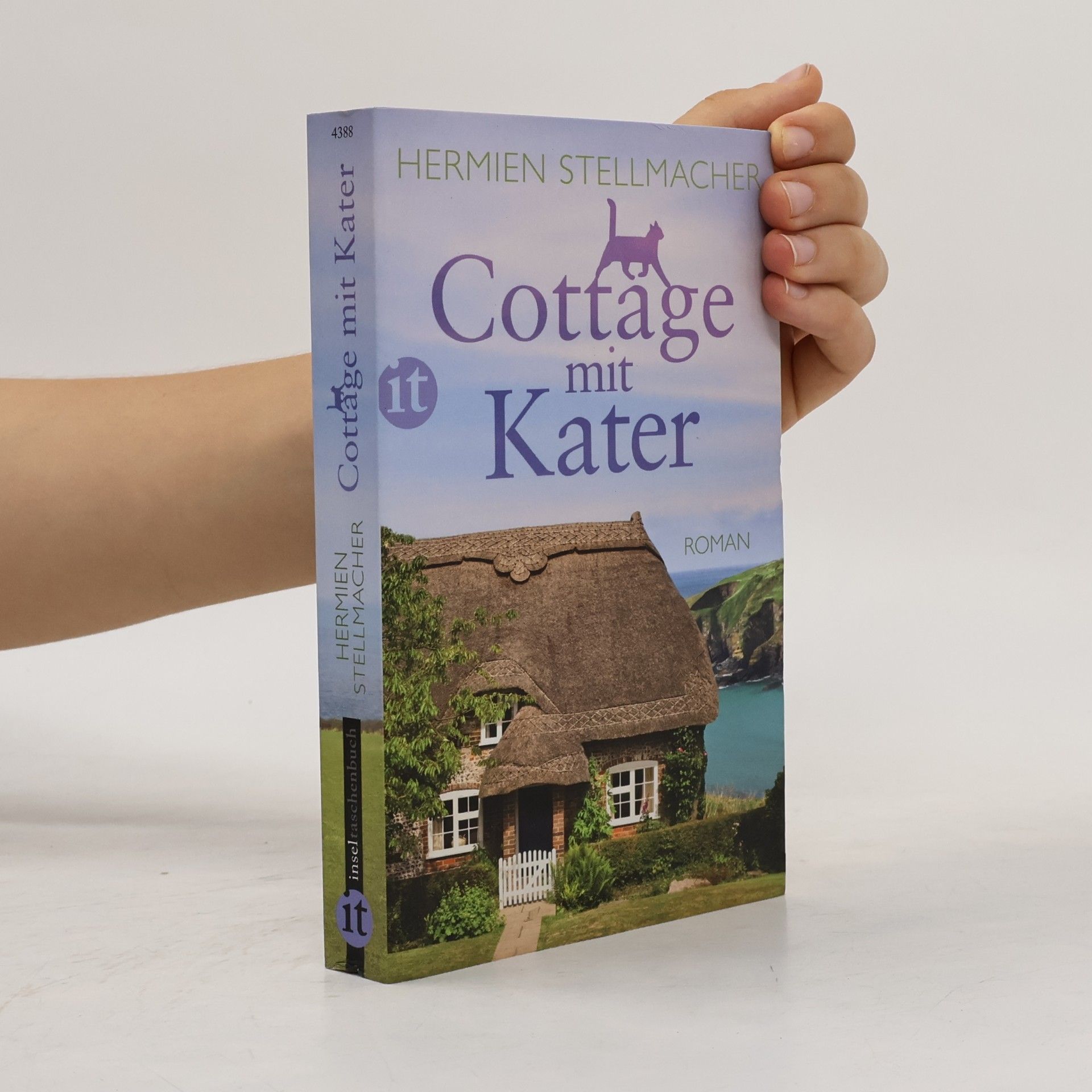 Hermien Stellmacher Cottage mit Kater