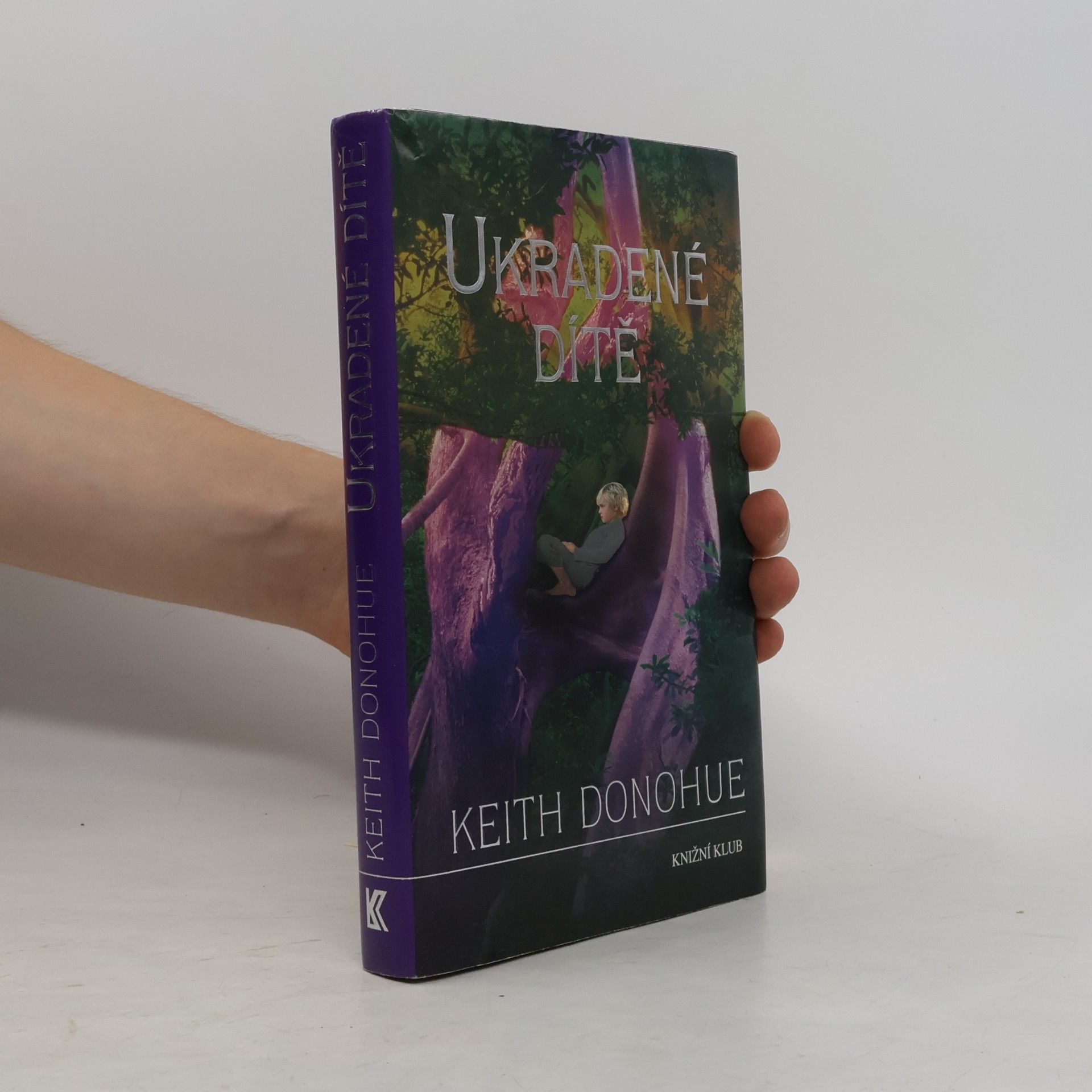 Keith Donohue Ukradené dítě