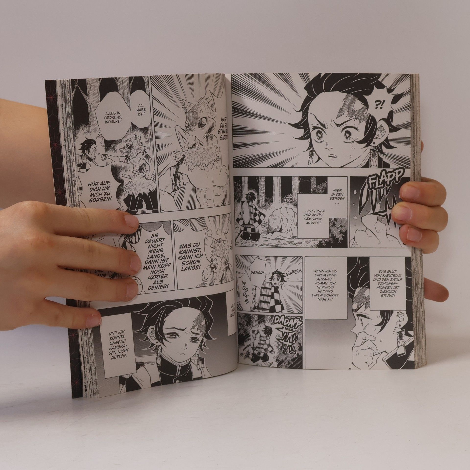 Koyoharu Gotoge Demon Slayer 4