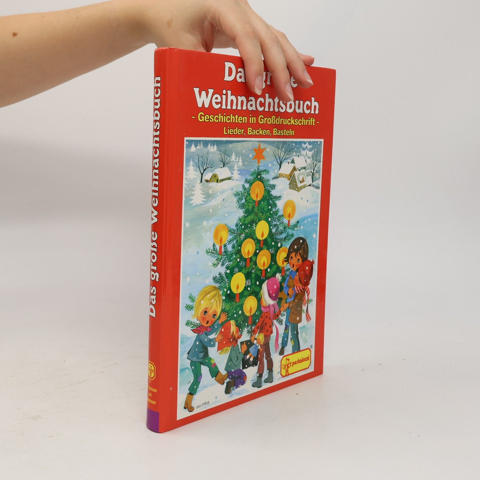Das große Weihnachtsbuch. Lieder, Backen, Basteln