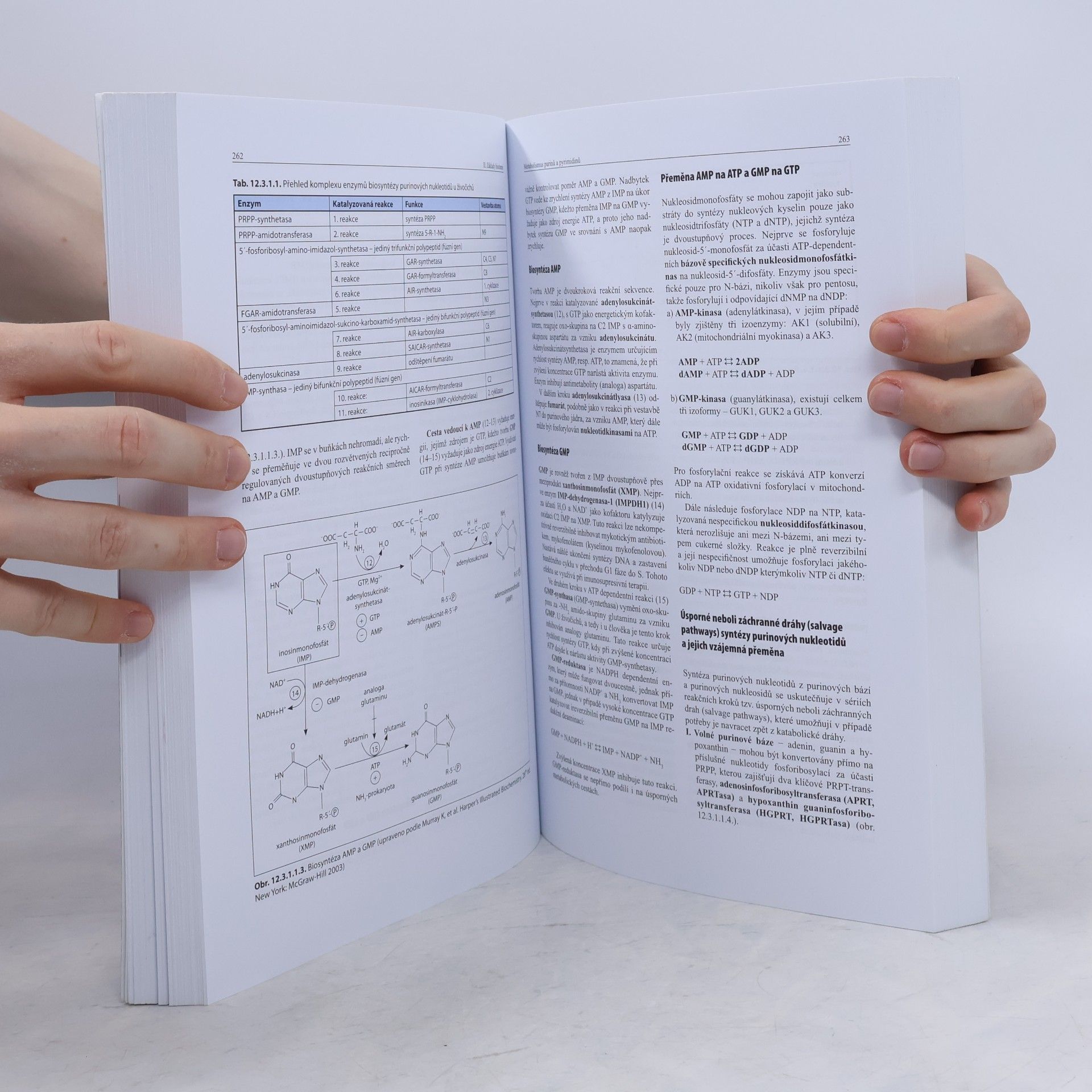 Bohuslav Matouš Základy lékařské chemie a biochemie
