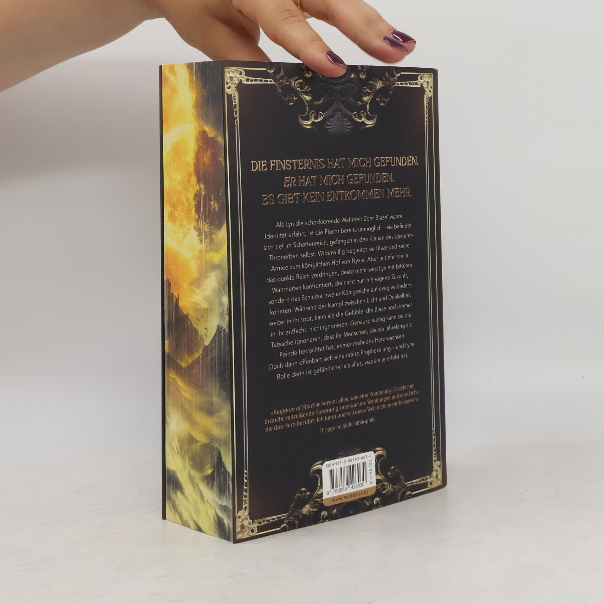Becca S. Hale Kingdom of Shadow