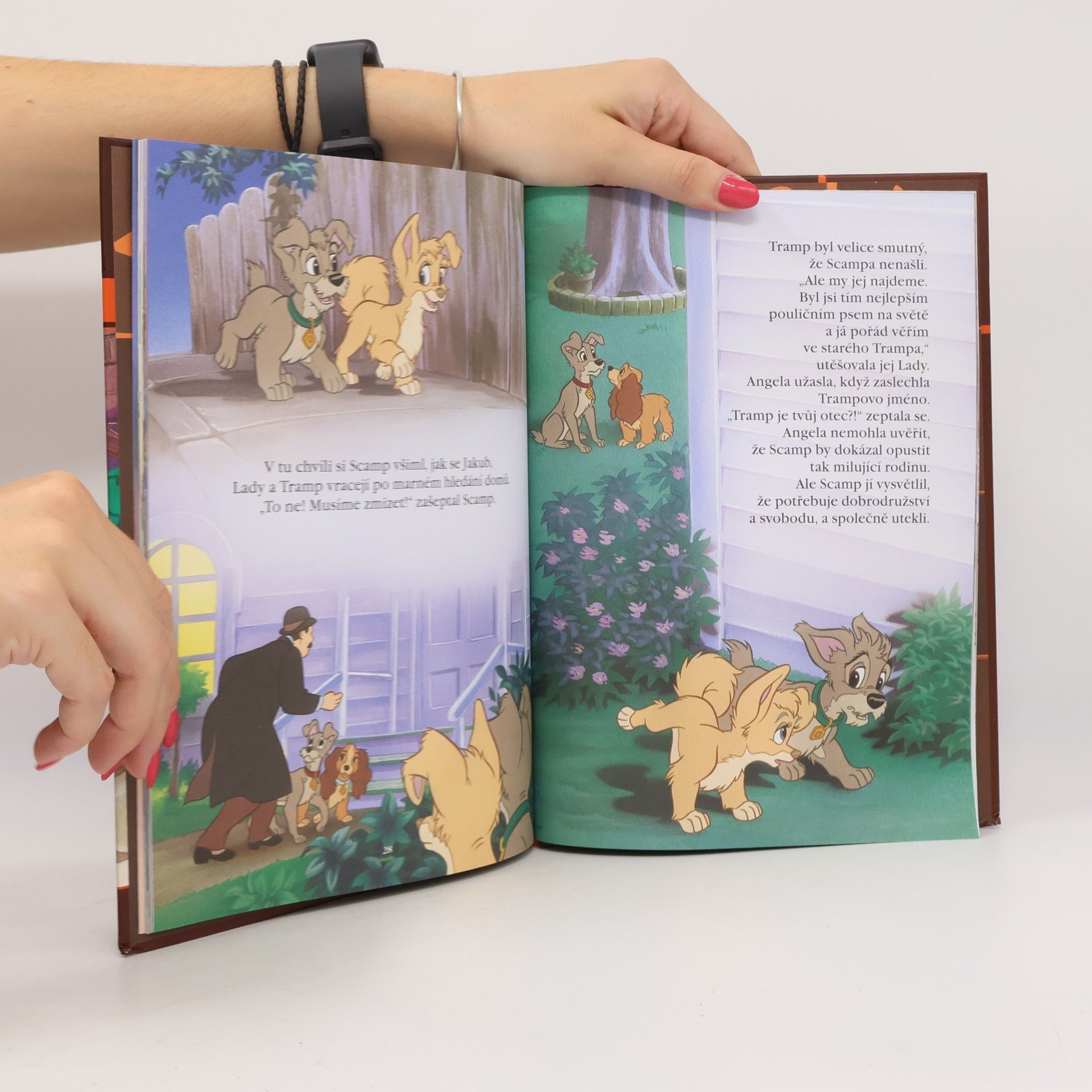 Various authors Kouzelné pohádky 19. Lady a Tramp