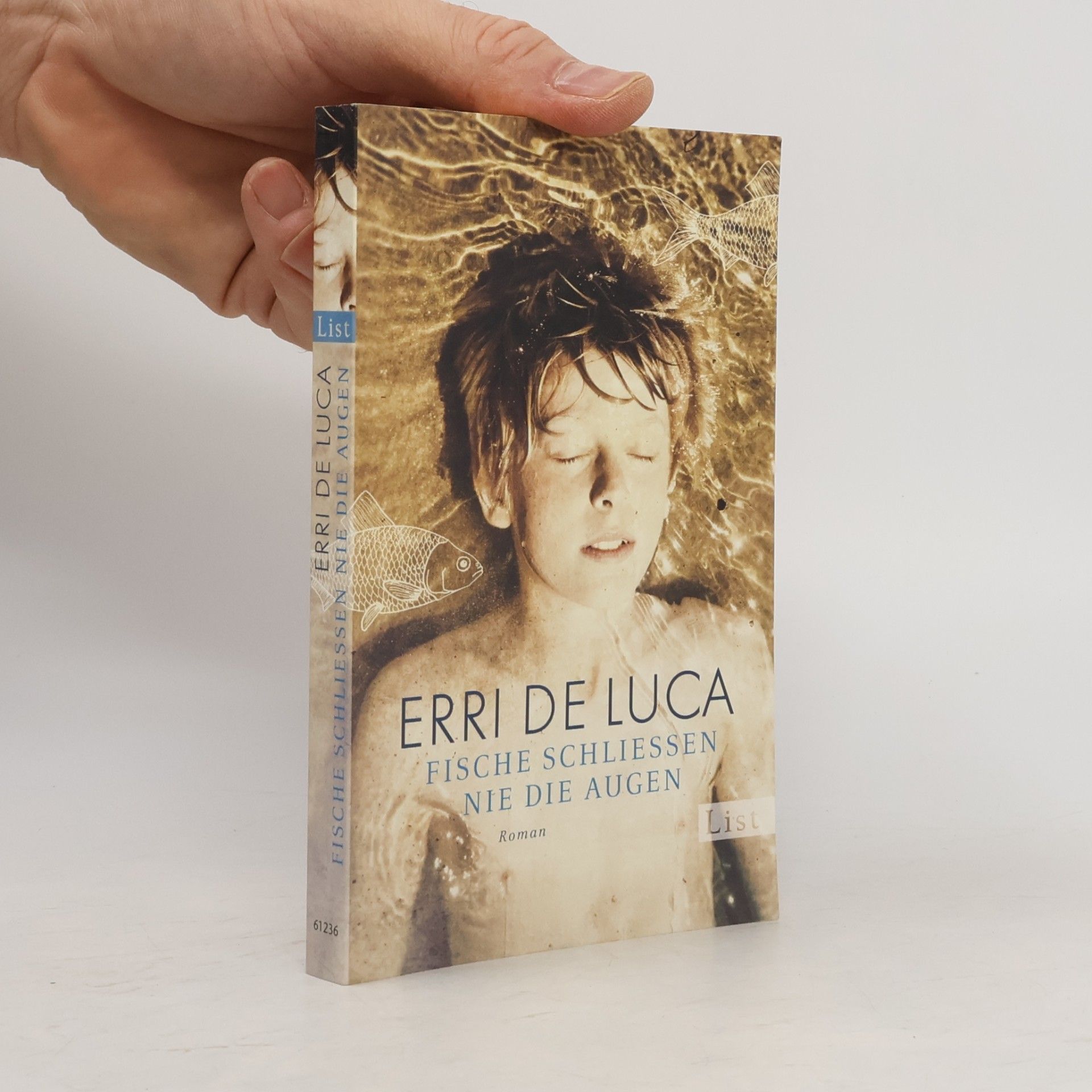 Erri De Luca Fische schließen nie die Augen