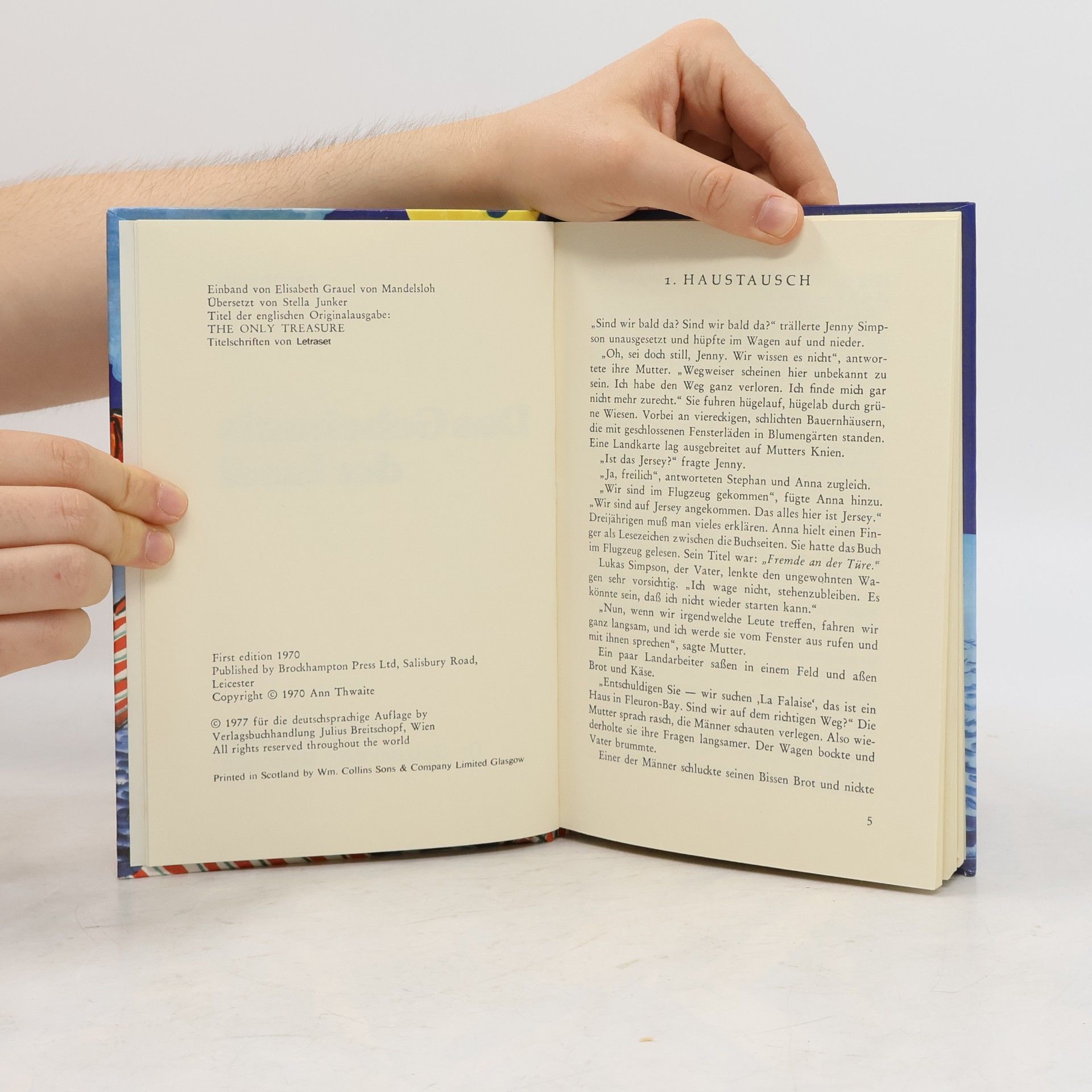 Ann Thwaite Das Geheimnis der Insel