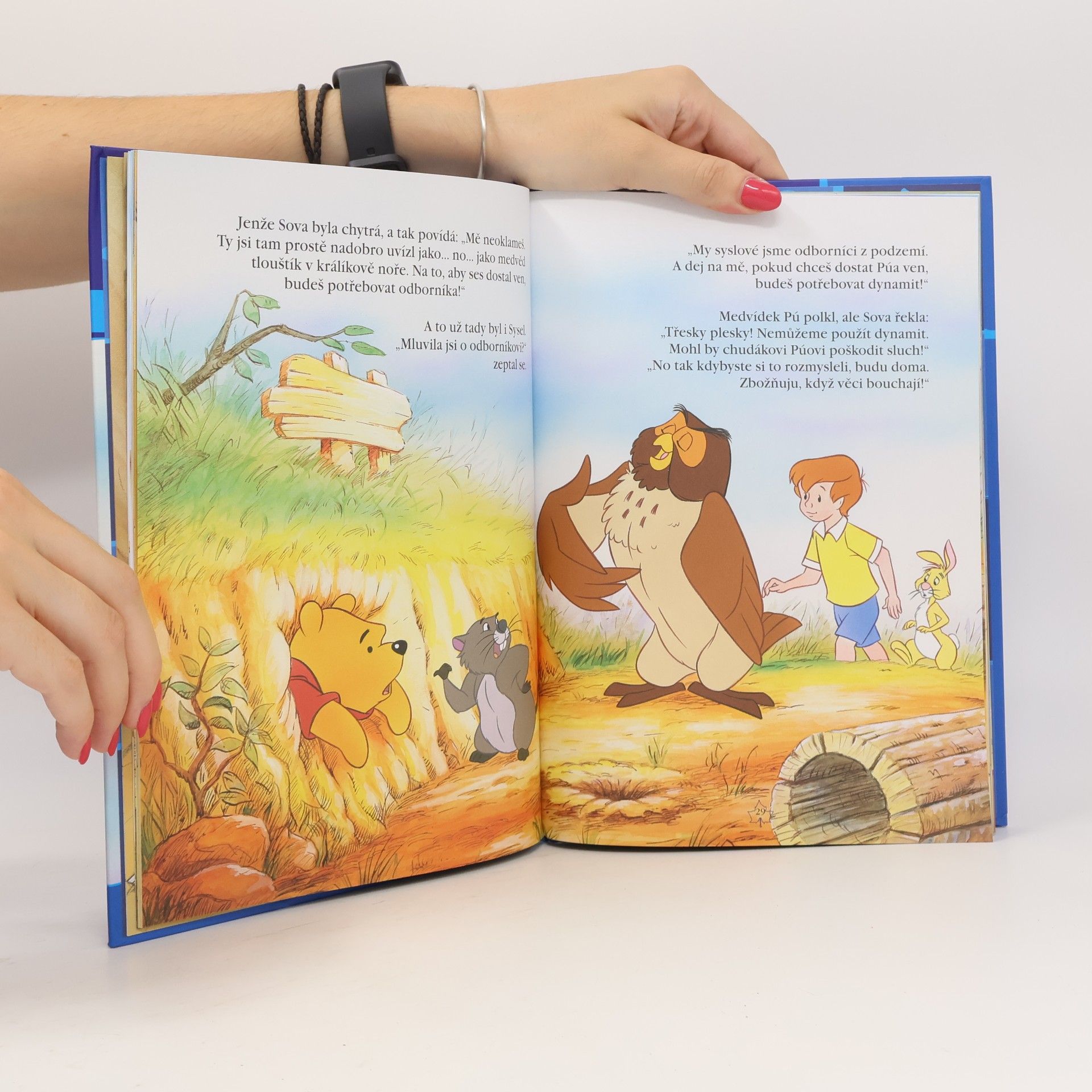 Autores varios Medvídek Pú a medonosný strom