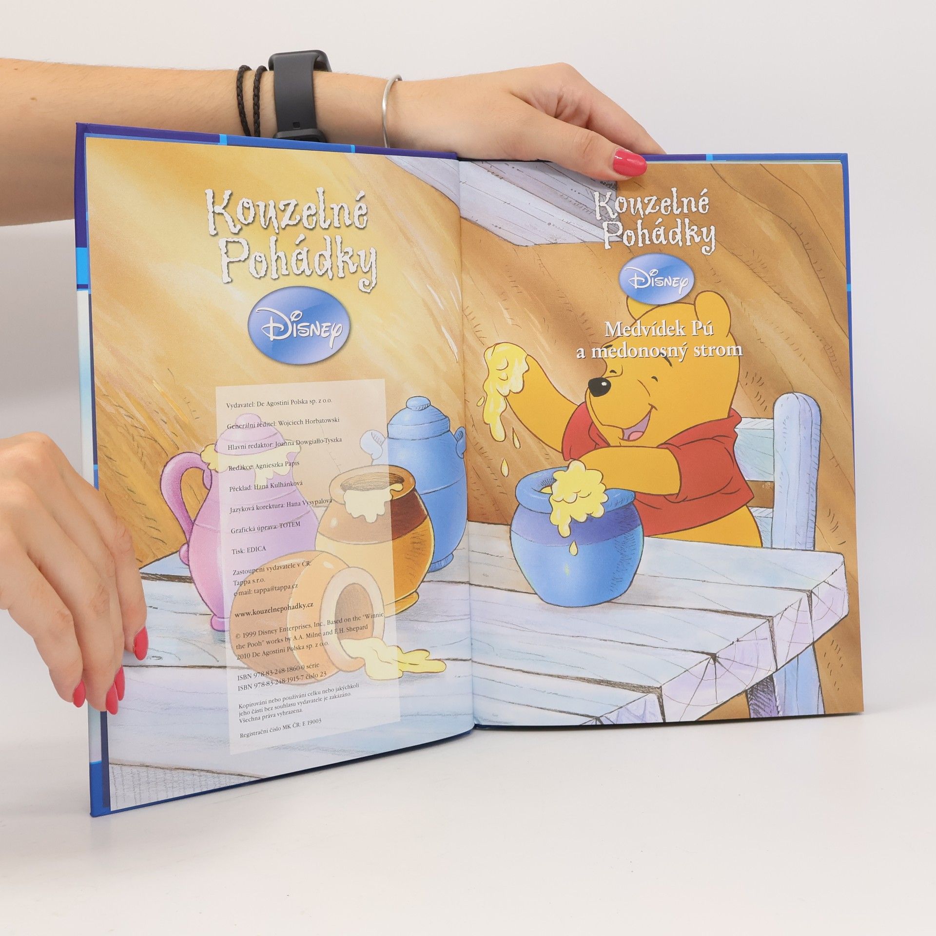 Autores varios Medvídek Pú a medonosný strom