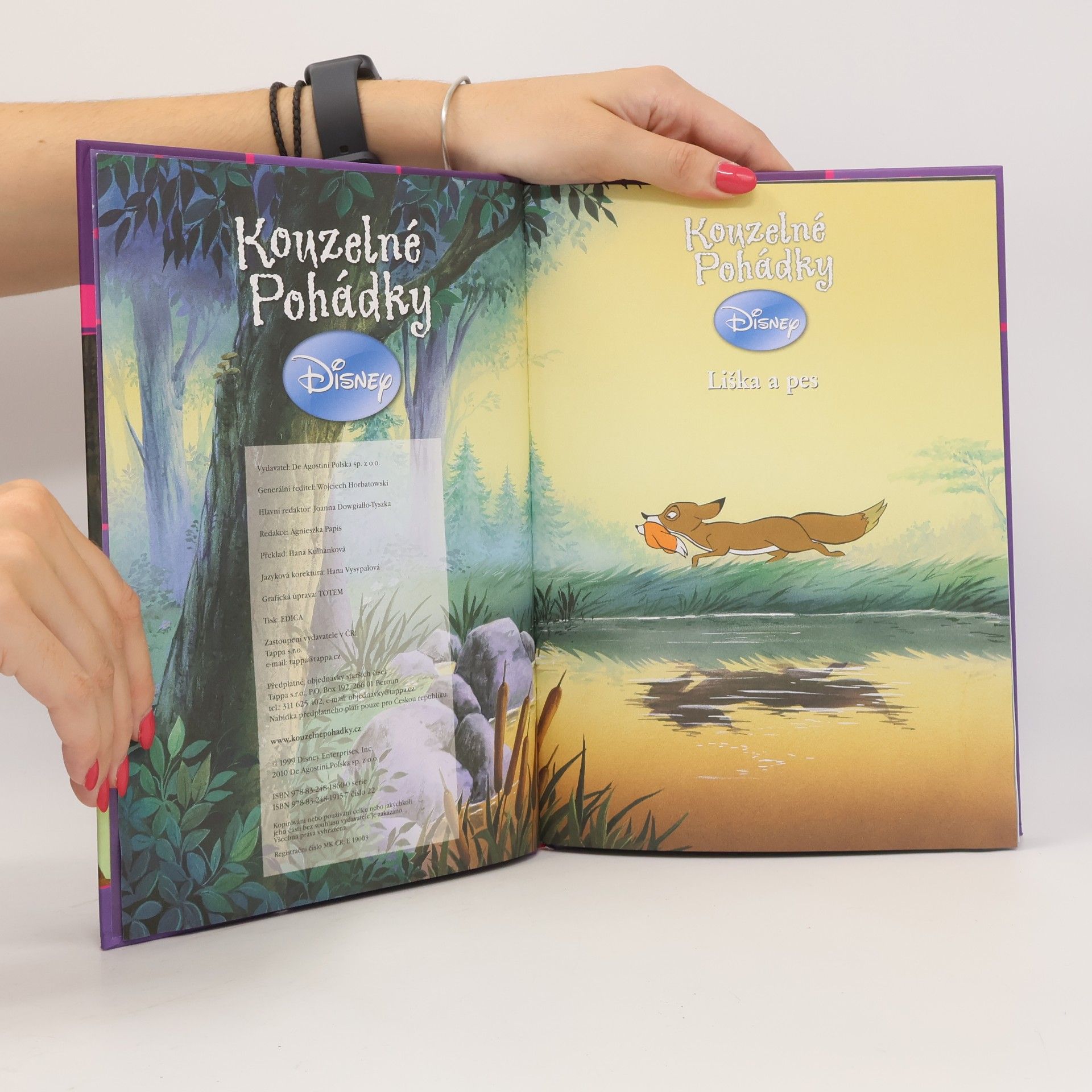 Collectif d'auteurs Kouzelné pohádky 22. Liška a pes