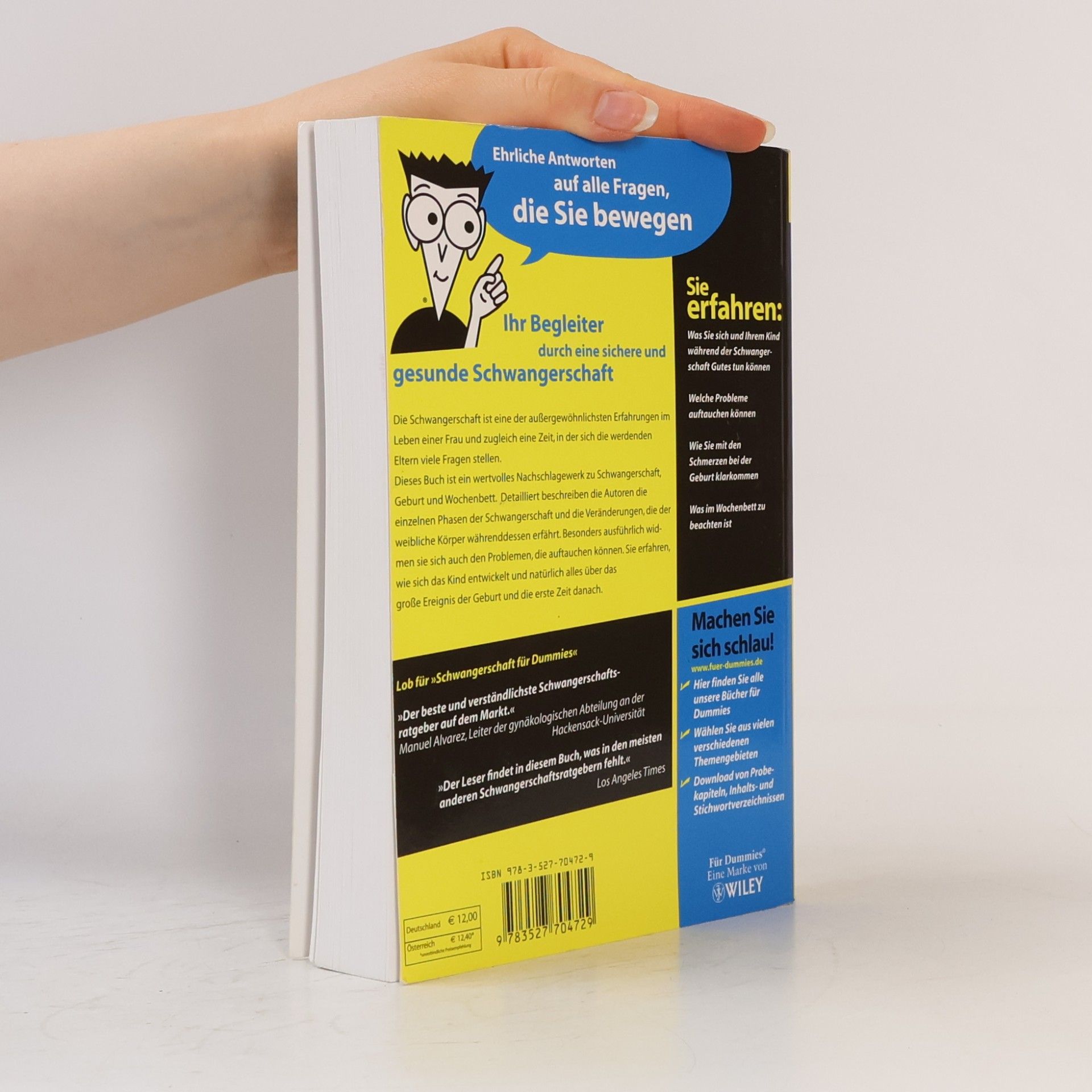 Joanne Stone Schwangerschaft für Dummies