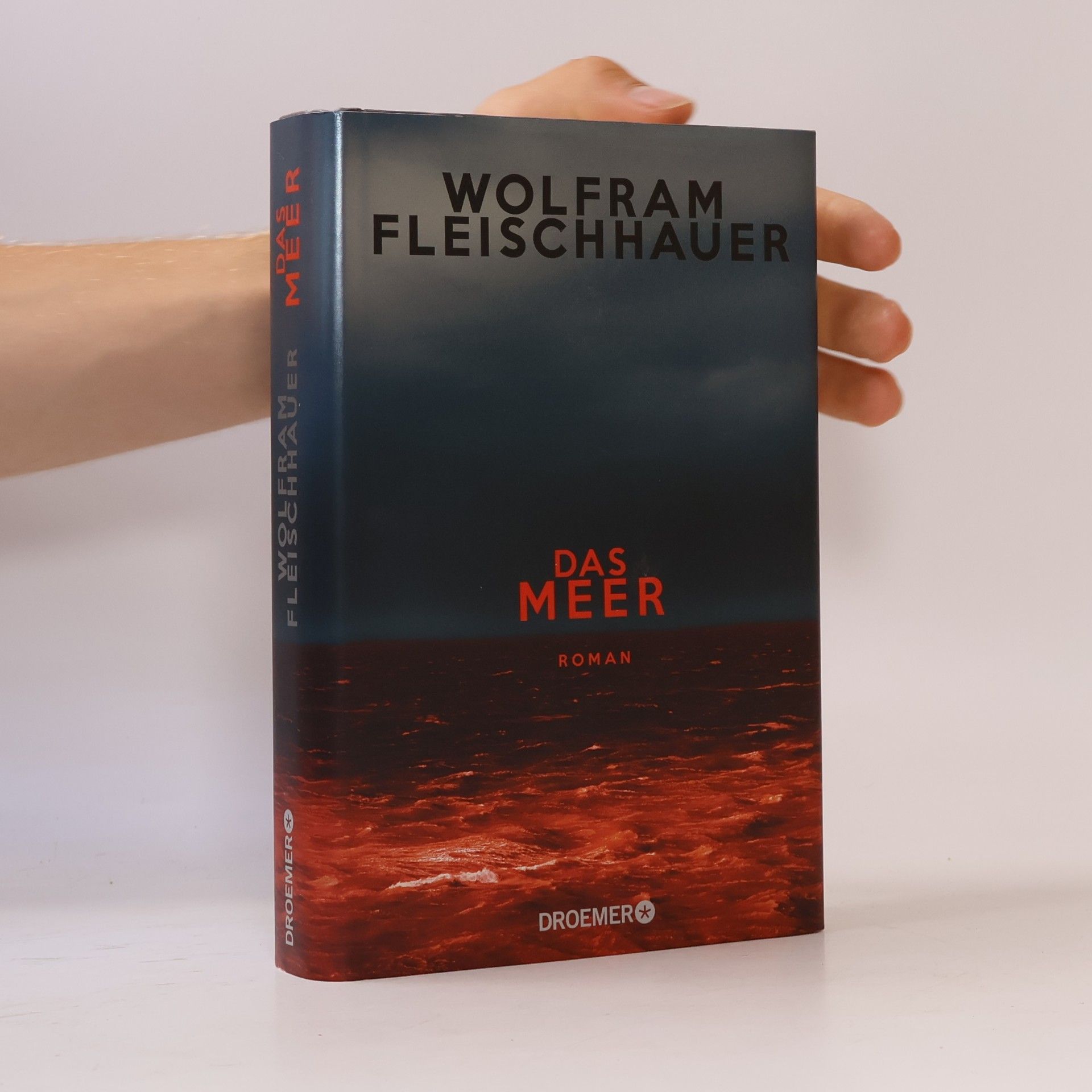 Wolfram Fleischhauer Das Meer