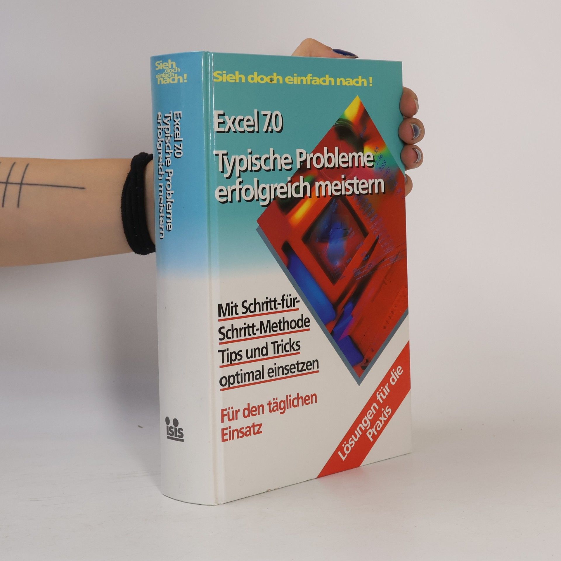 Autorenkollektiv Excel 7.0. Typische Probleme erfolgreich meistern