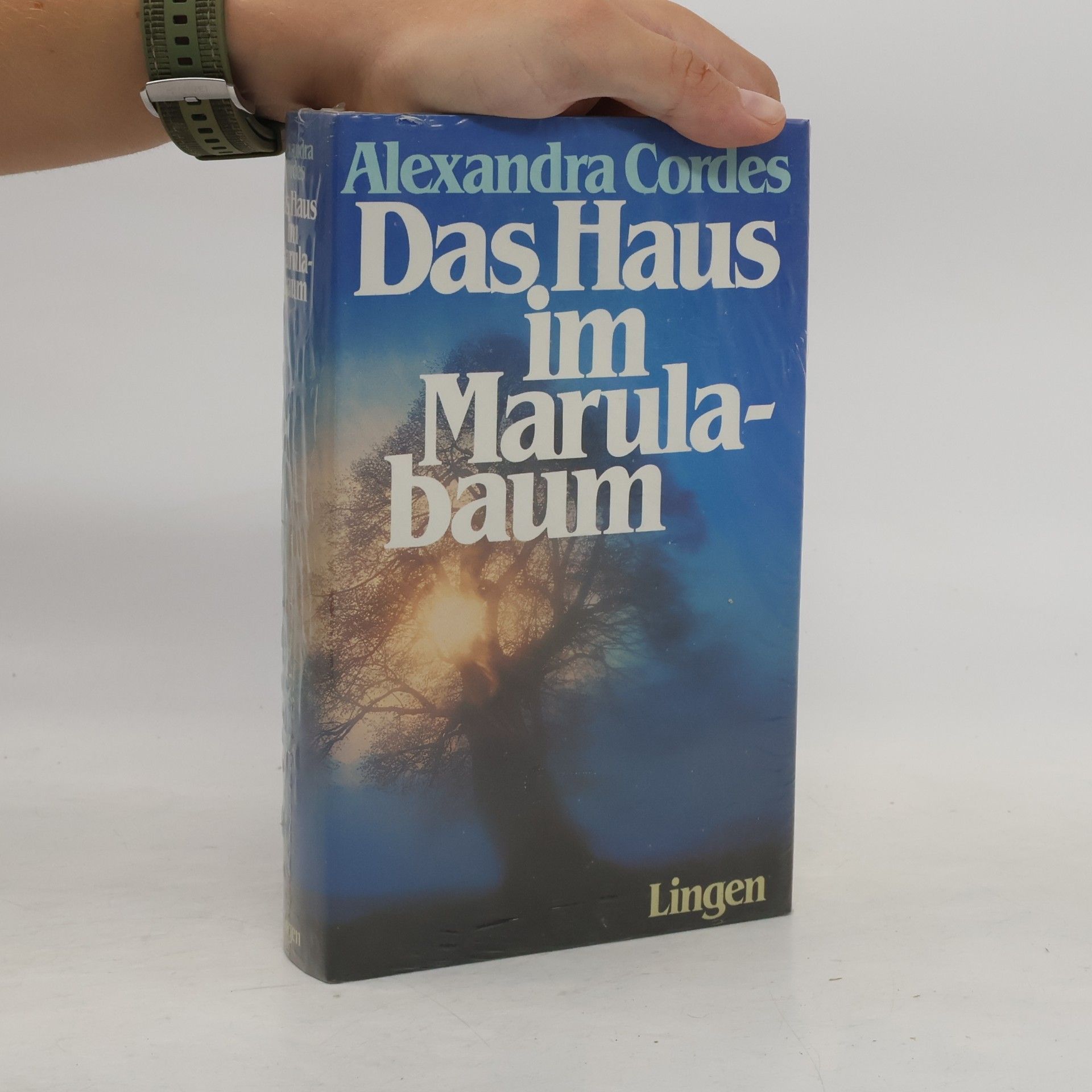 Alexandra Cordes Das haus im Marulabaum