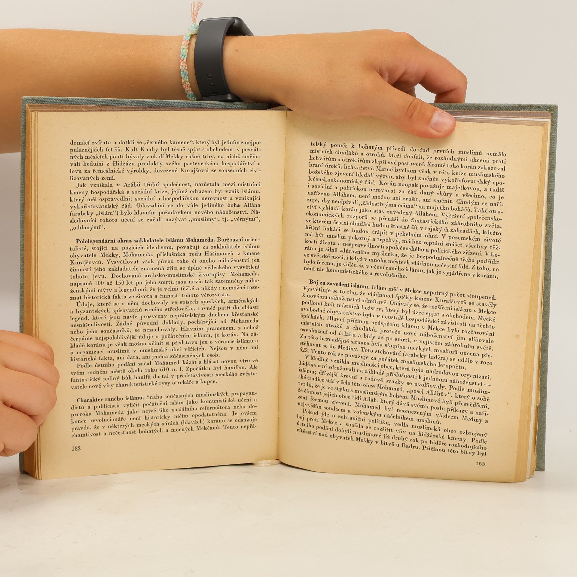 Autorenkollektiv Náboženství v dějinách i v současnosti