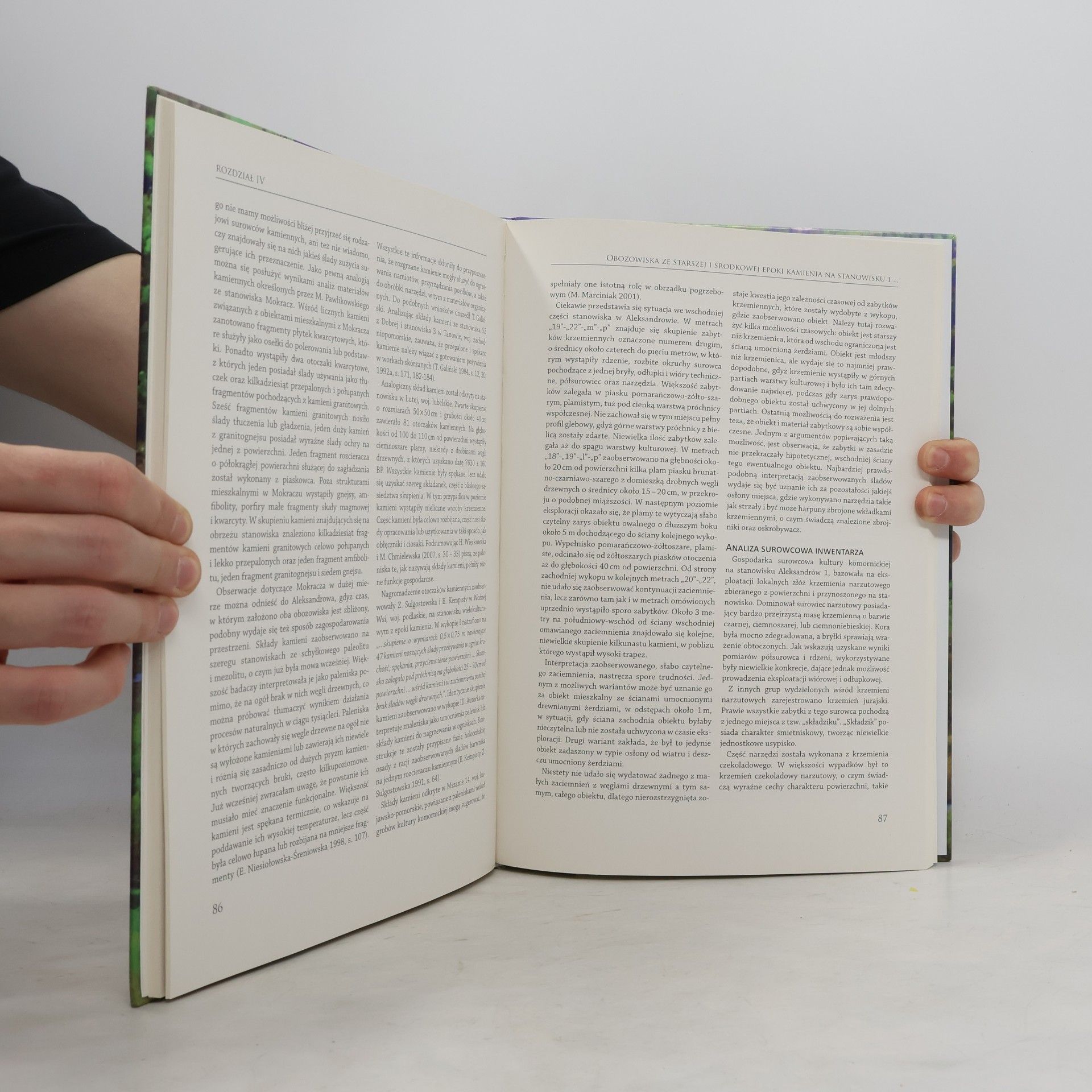 Autorenkollektiv Obozowiska ze starszej i środkowej epoki kamienia na stanowisku I w Aleksandrowie Łódzkim v kontekście analizy środowiska naturalnego Łódź 2011