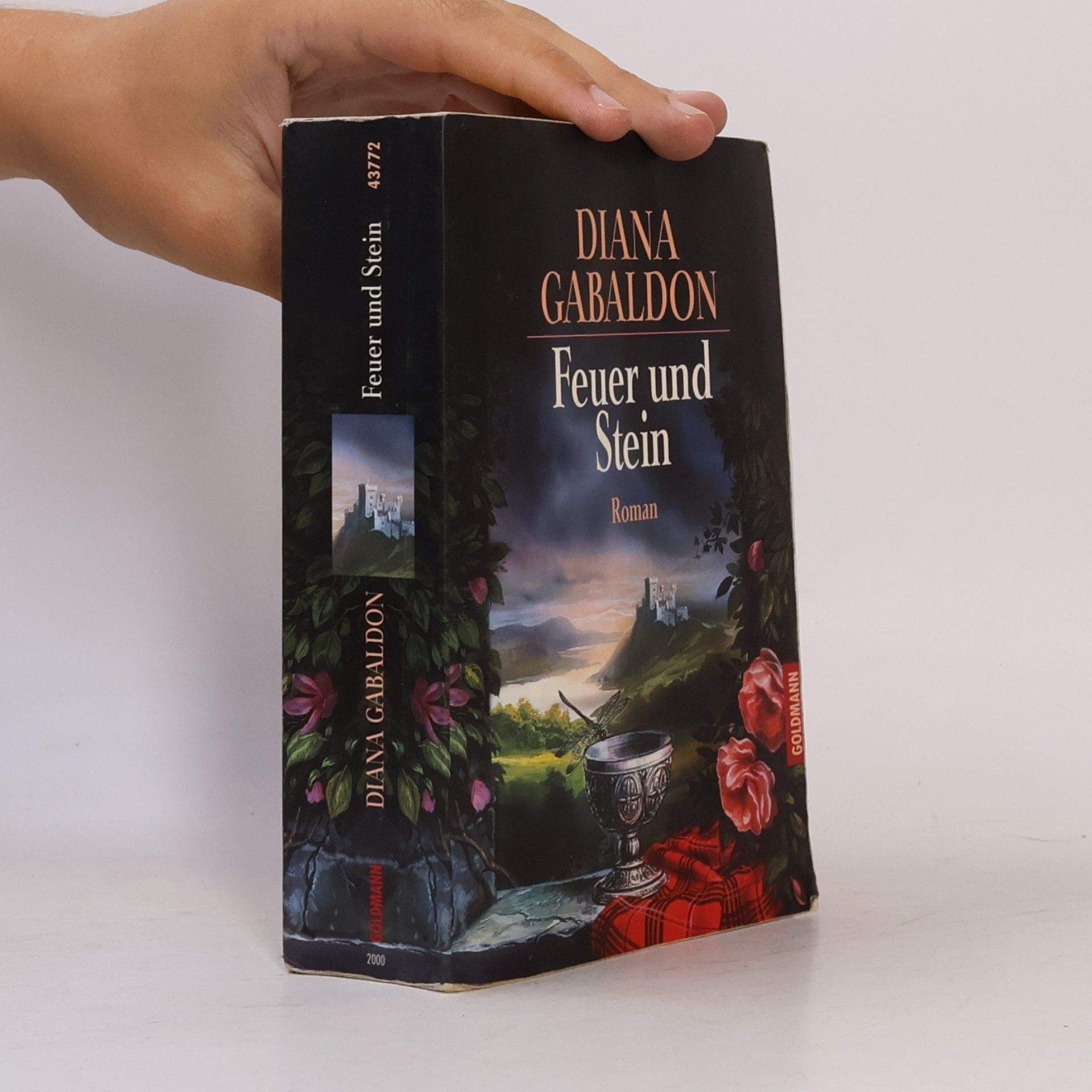 Diana Gabaldon Feuer und Stein