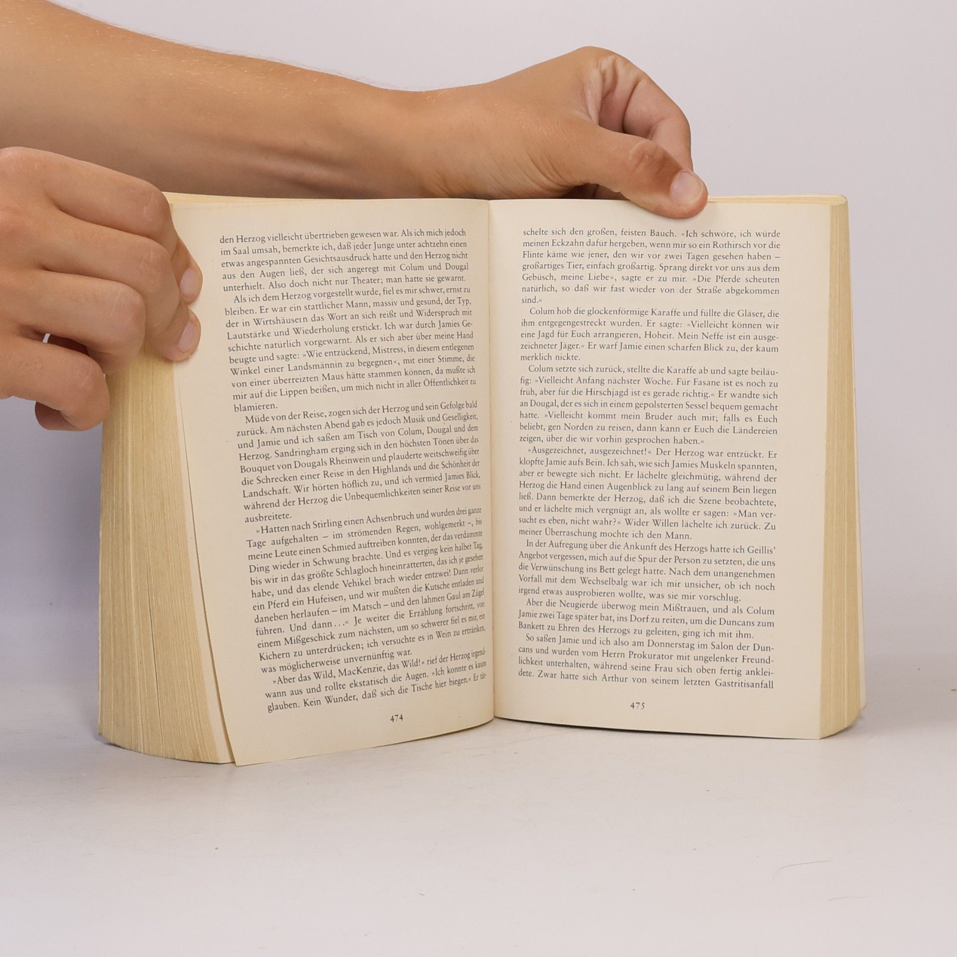 Diana Gabaldon Feuer und Stein