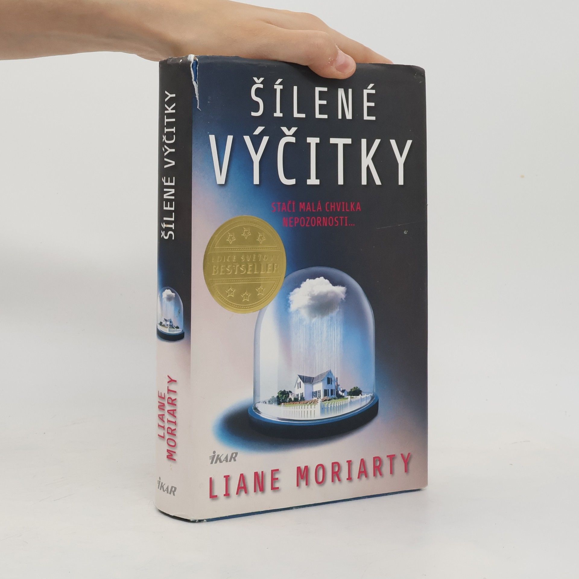 Liane Moriarty Šílené výčitky