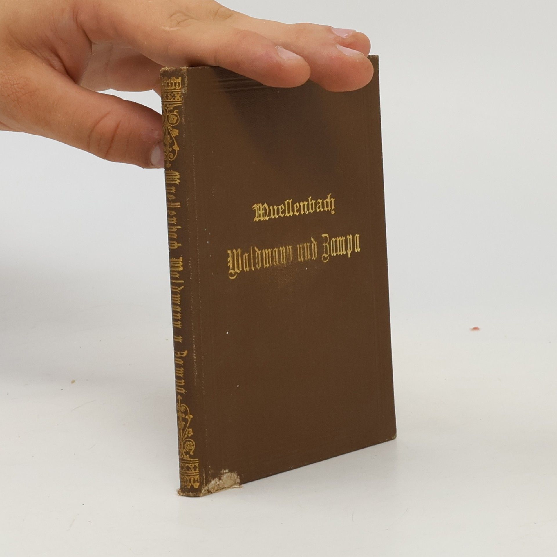 Ernst Muellenbach Waldmann und Bampa und andere Novellen