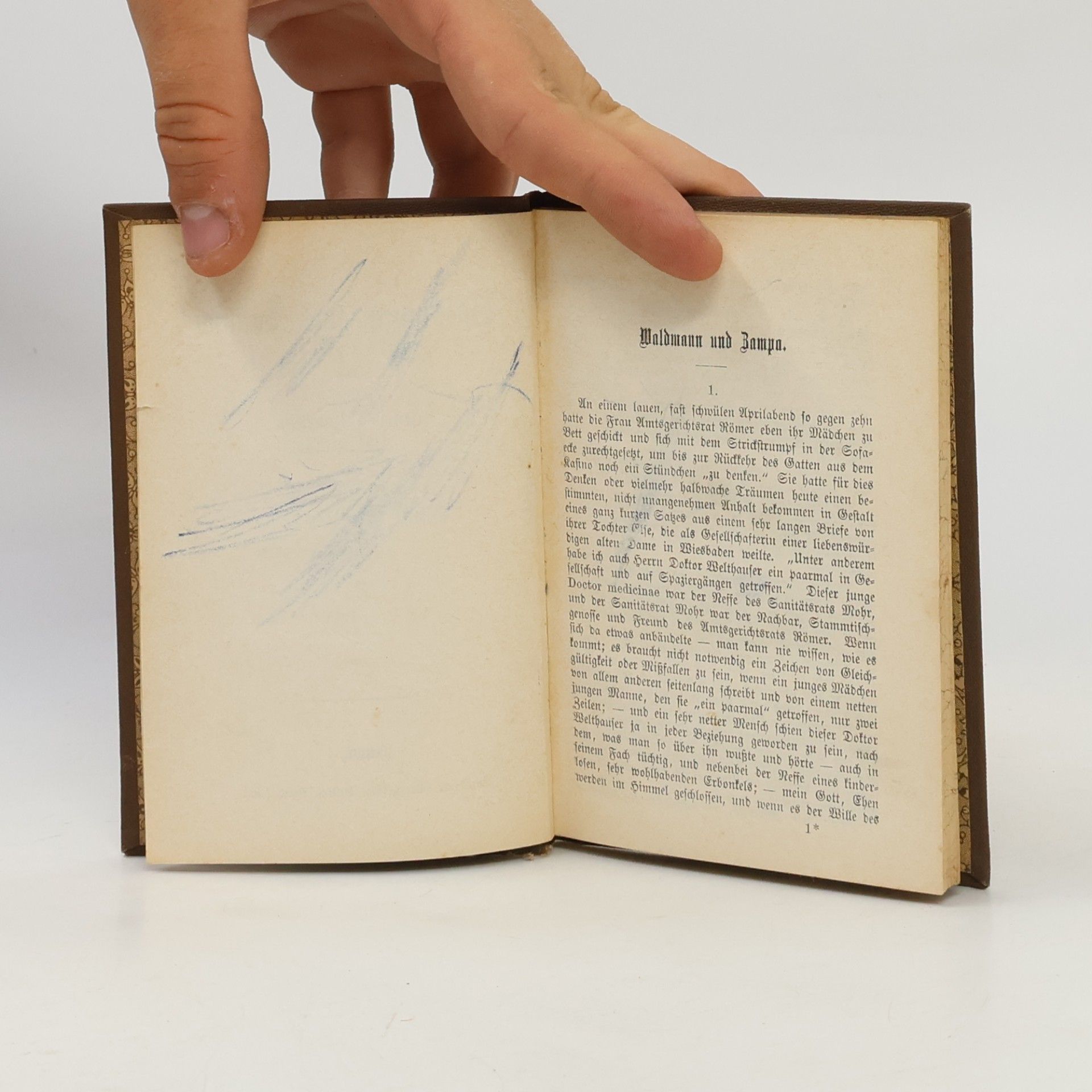 Ernst Muellenbach Waldmann und Bampa und andere Novellen