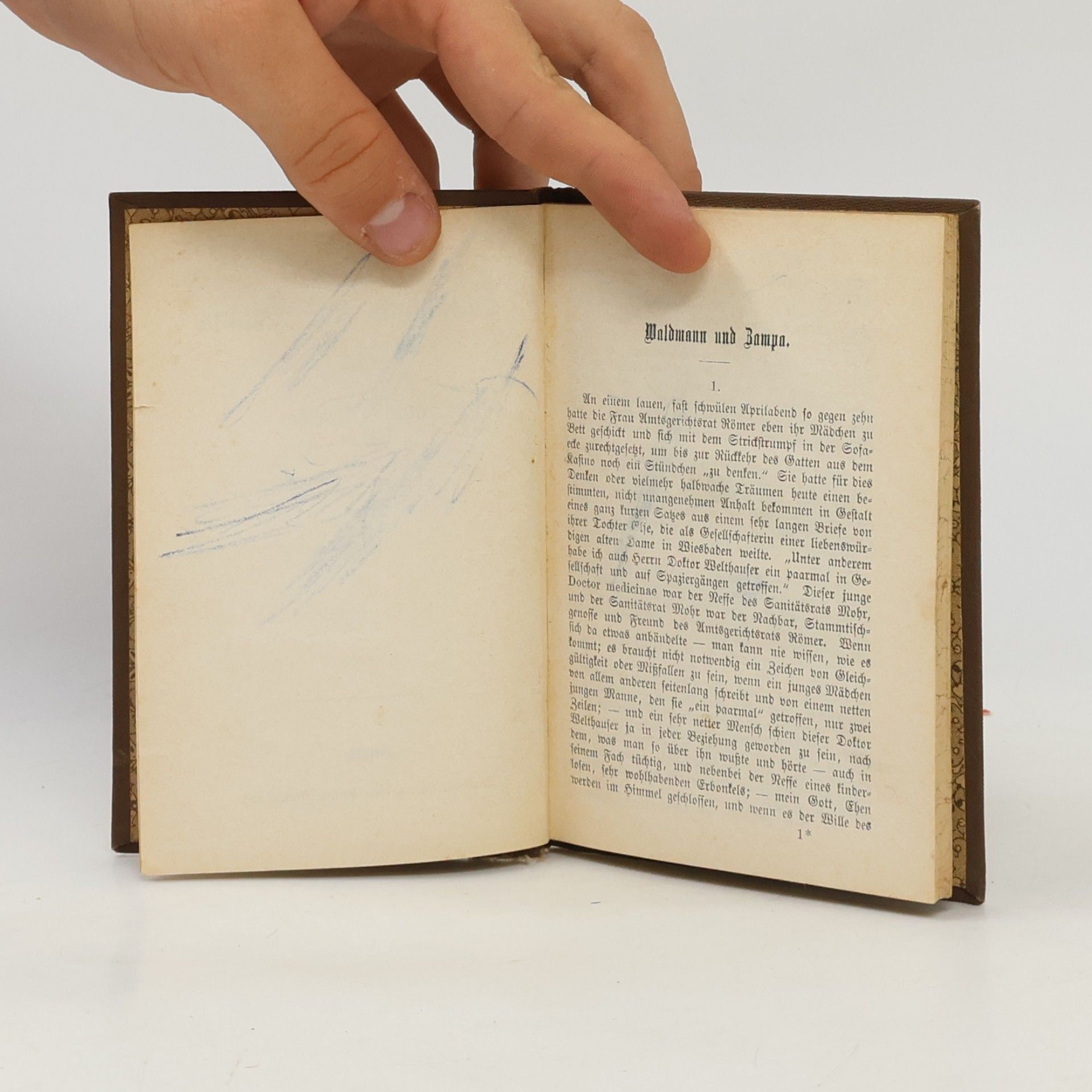 Ernst Muellenbach Waldmann und Bampa und andere Novellen