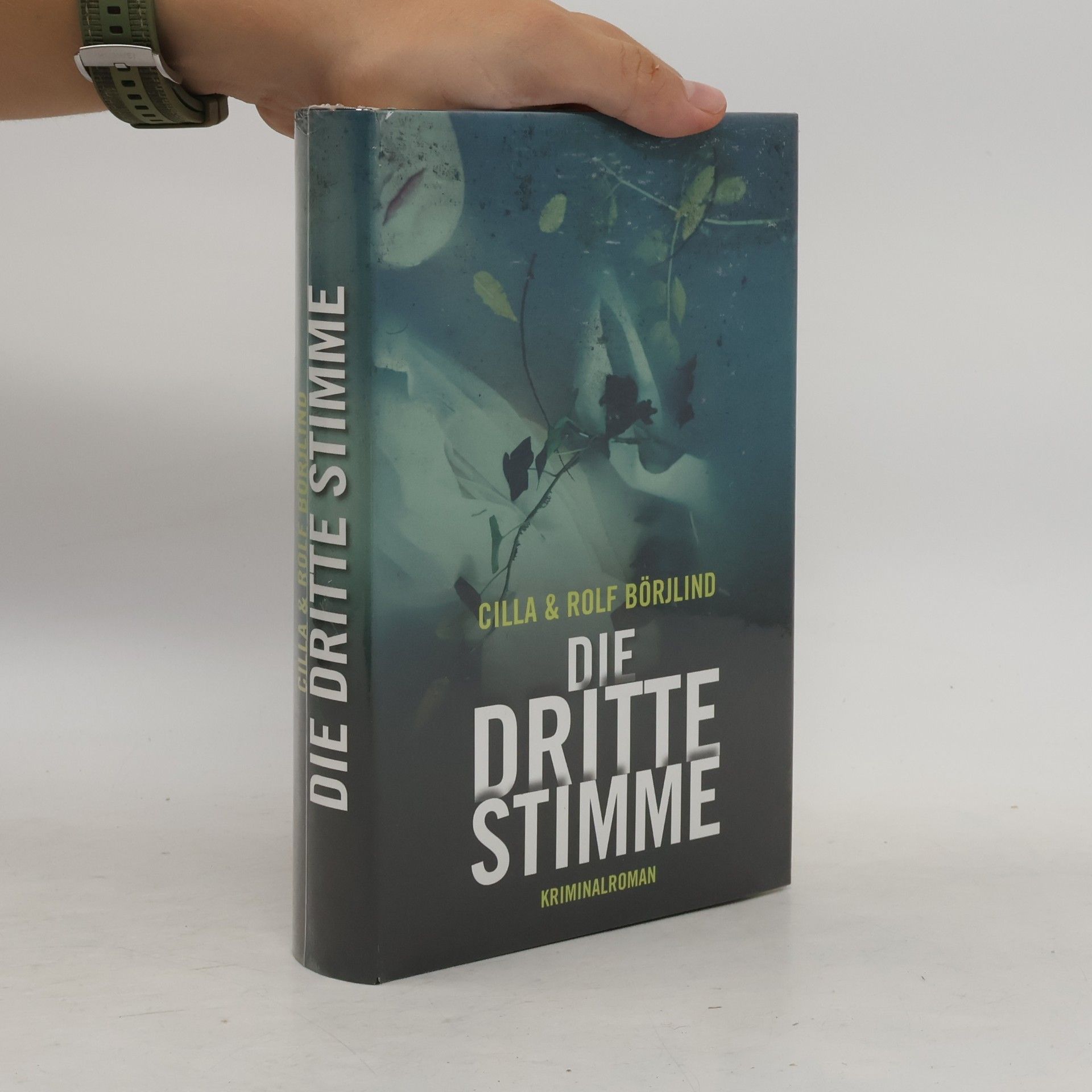 Cilla Börjlind Die dritte Stimme