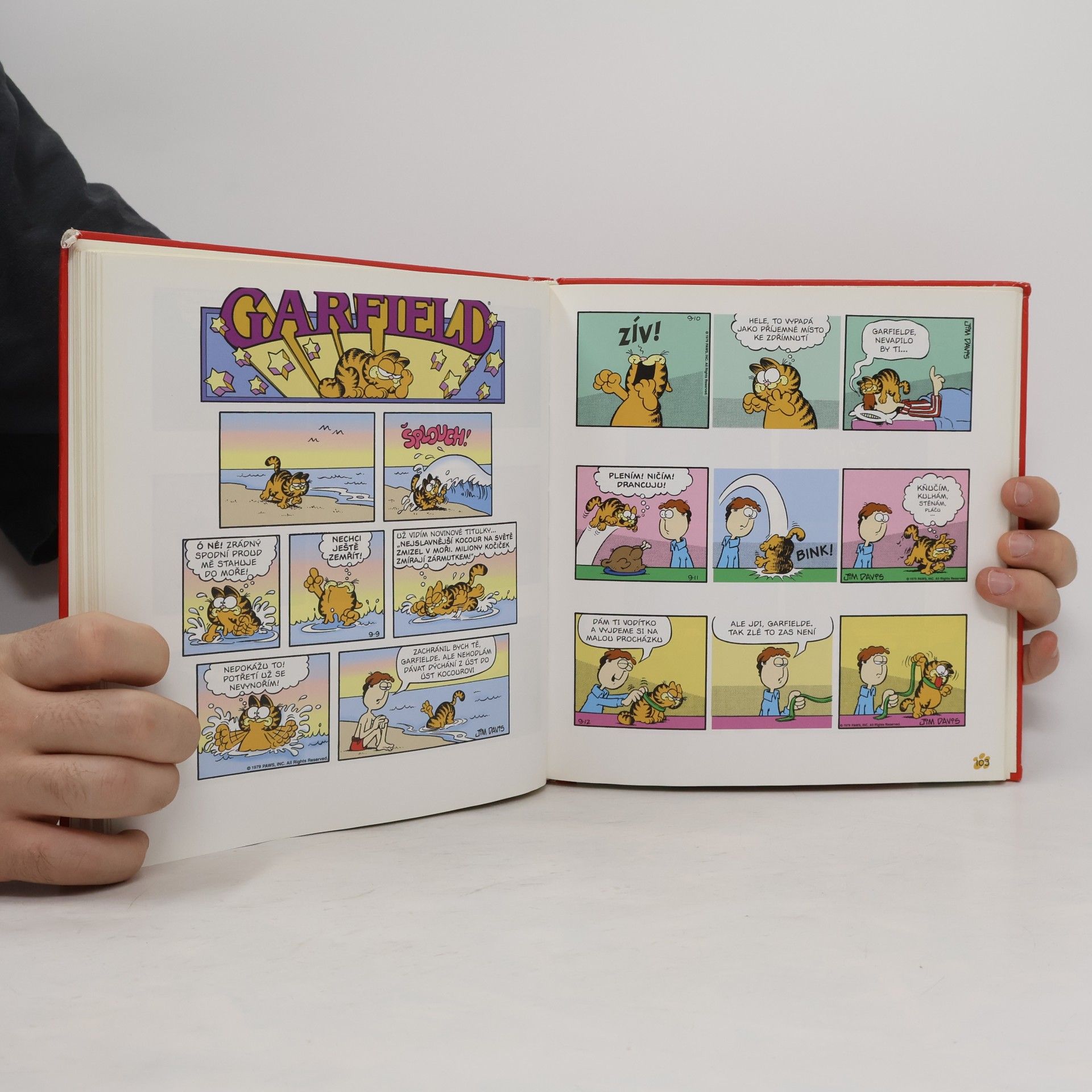 Jim Davis Garfield se vybarvuje